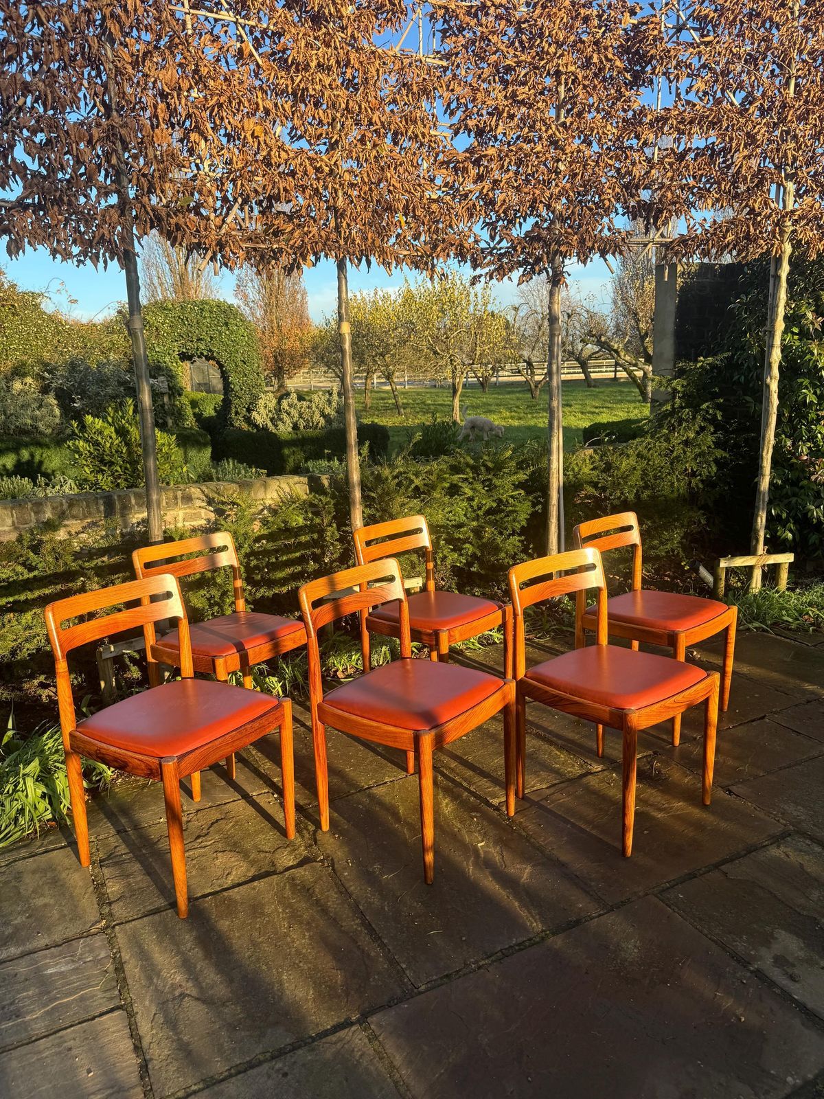 Eight Rosewood Dining Chairs By H W Klein For Bramin Danish 1960 photo buy