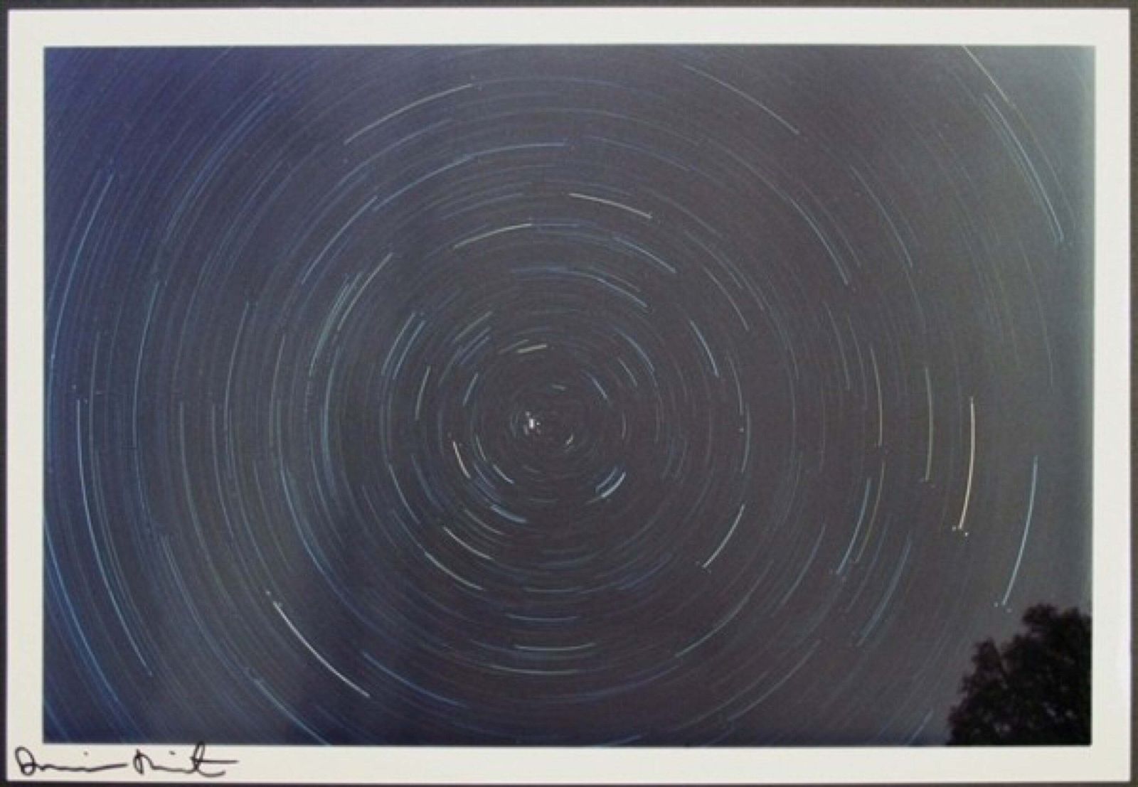 Damien Hirst, Spin Photo, 2002