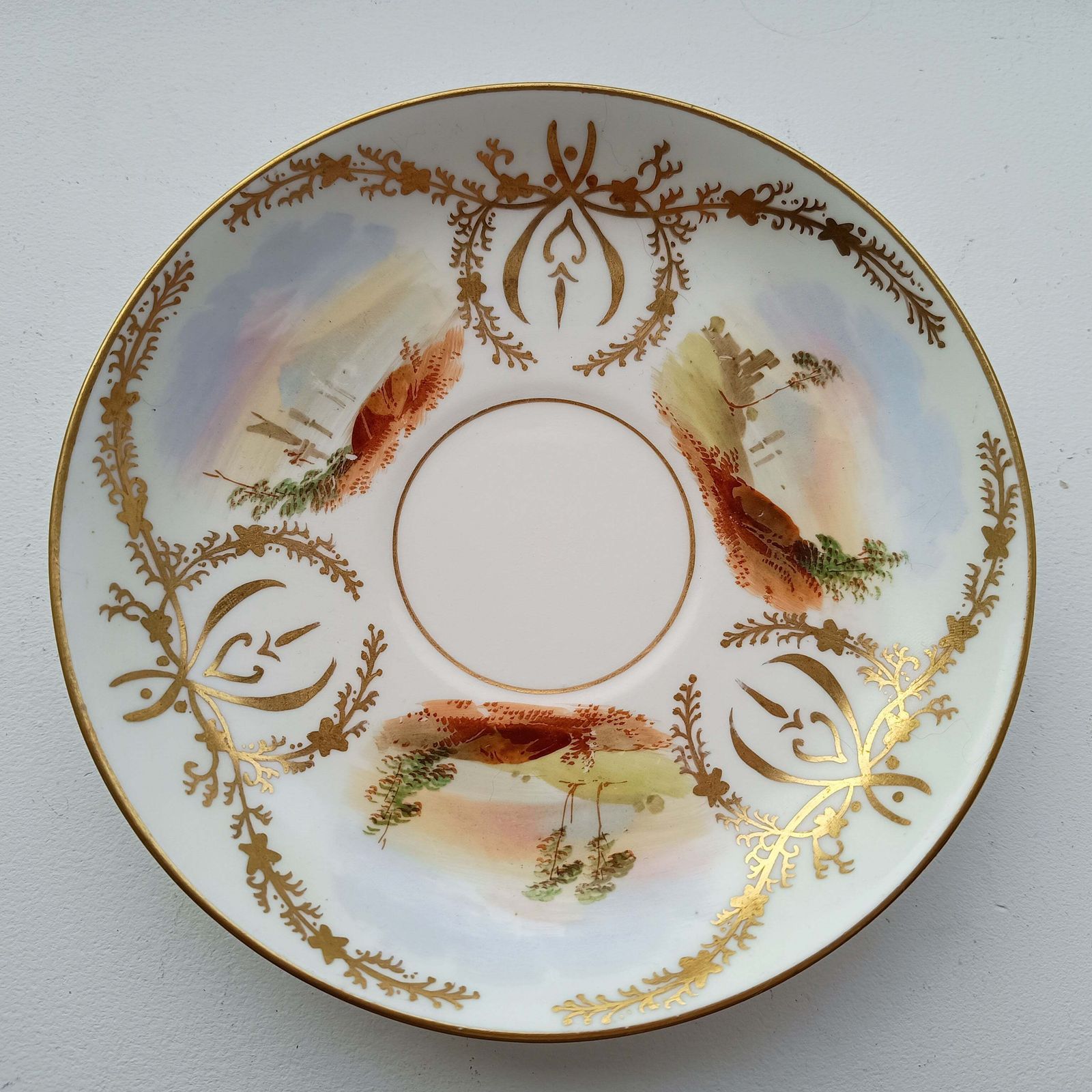 125.0 Antique Hand Painted Landscape And Gilt Crests Porcelain Cup & Saucer, Austria 19th Century photo