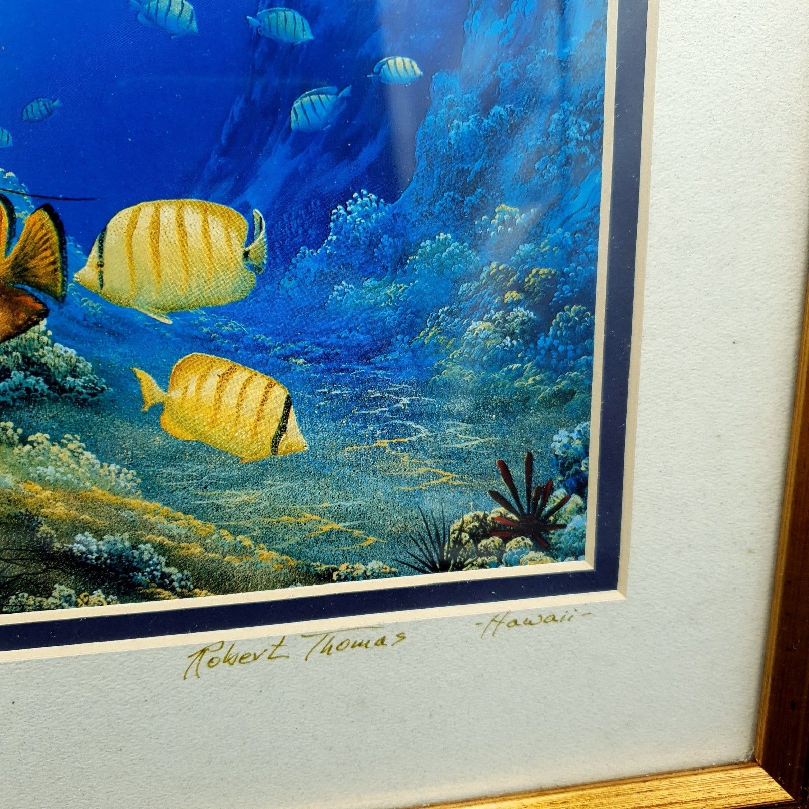 Robert Thomas Print Turtle & Ocean Reef Scene Hawaii Distressed Gold Tone Frame photo vintage