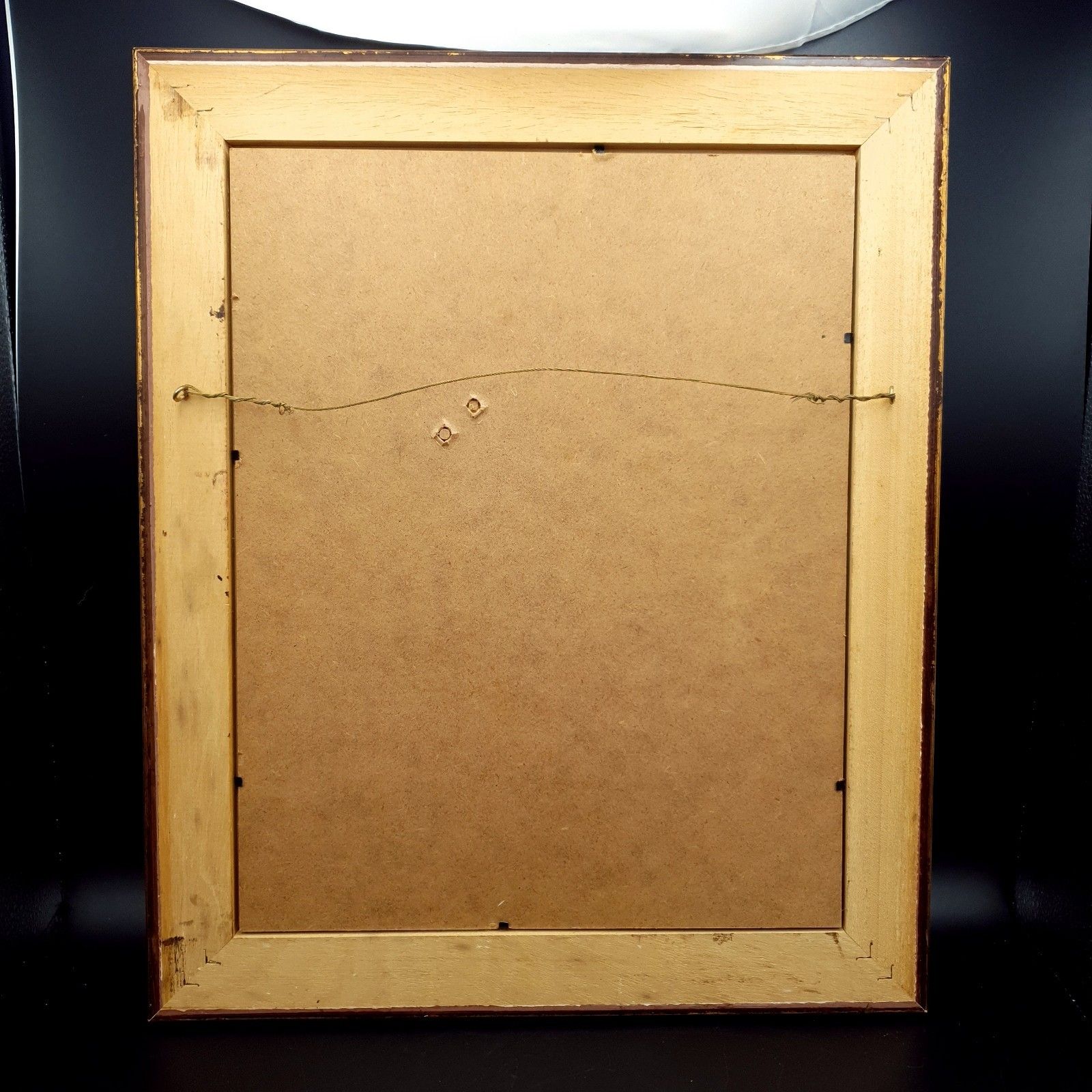 photo vinterior Robert Thomas Print Turtle & Ocean Reef Scene Hawaii Distressed Gold Tone Frame