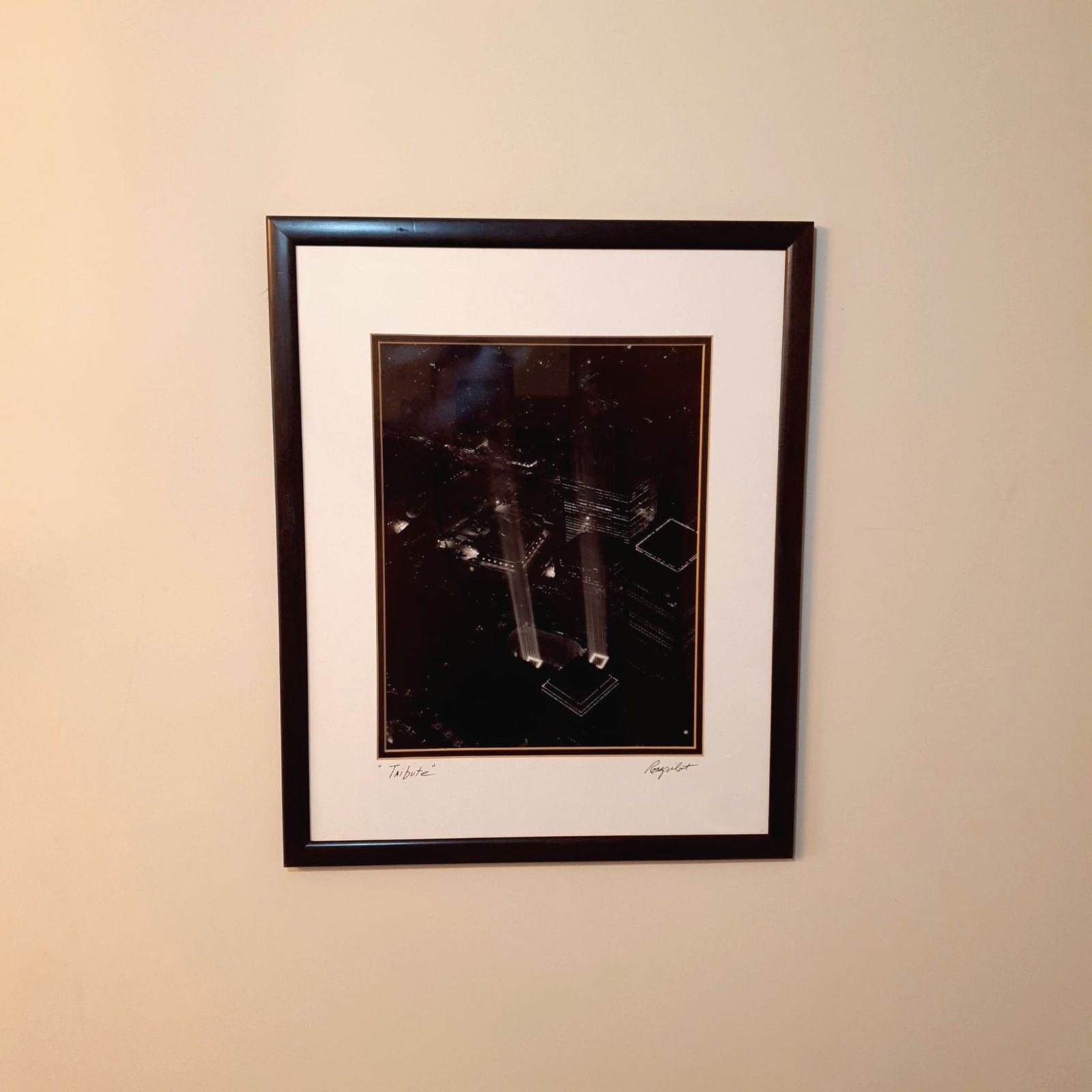 Twin Towers Tribute Photo Print Ross Pilot Projected Lights Signed Award Winner photo furniture