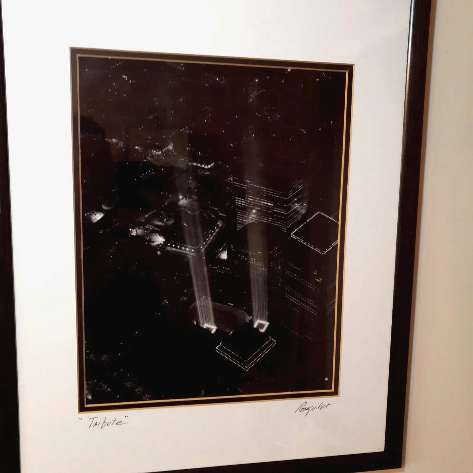 Twin Towers Tribute Photo Print Ross Pilot Projected Lights Signed Award Winner photo Art