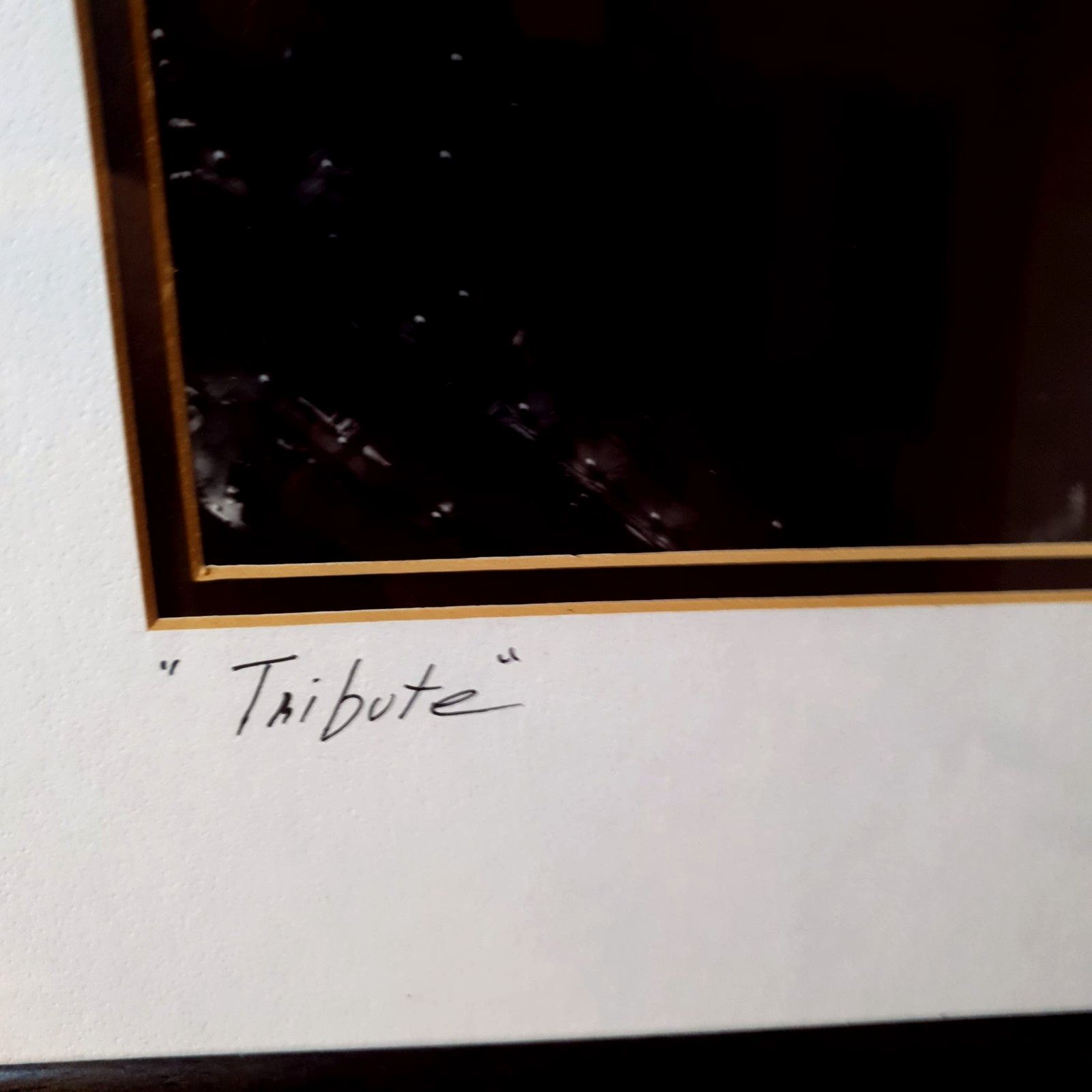 Twin Towers Tribute Photo Print Ross Pilot Projected Lights Signed Award Winner photo buy