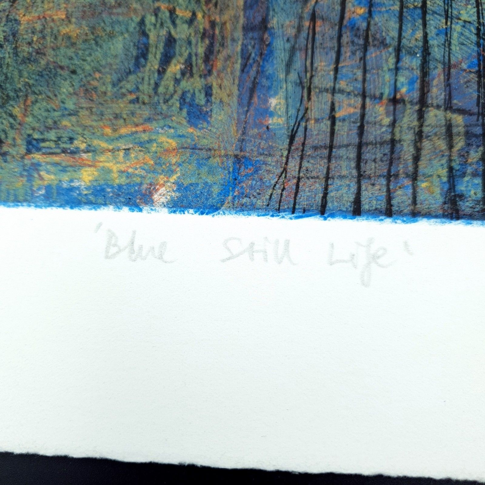 photo vinterior Dom Theobald Signed Limited Print Etching 1995 Named Blue Still Life H37xl33cm