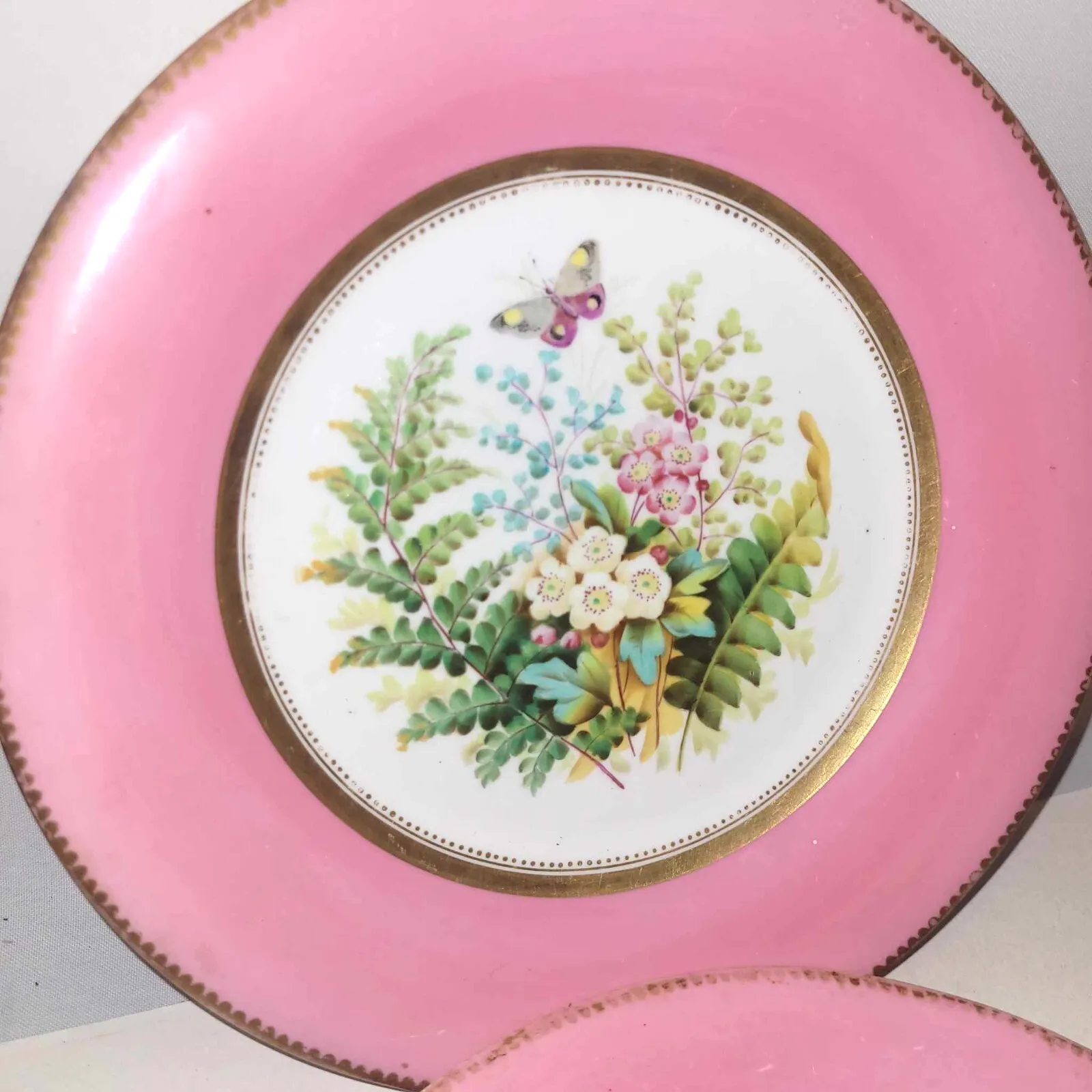 2x Antique China Plates Pink Gold Edging Butterfly Floral Panel 9" Worcester ? photo furniture