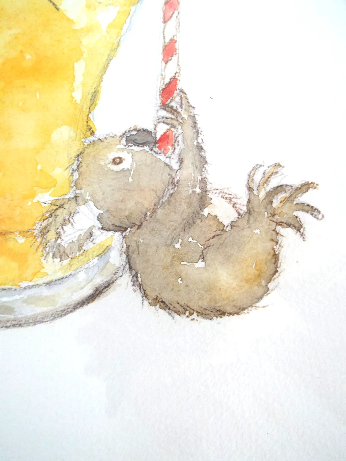 Cute  Mini Koala Llustration Original  Framed Watercolour Painting Andi Lucas photo 125.0