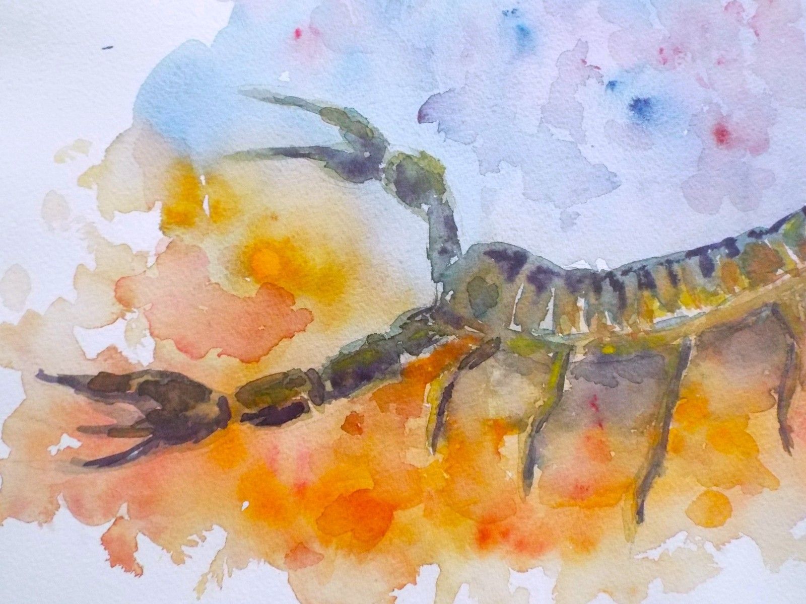 Scorpion Original Watercolour  Framed Painting  Scorpio Star Sign Andi  J Lucas photo 125.0