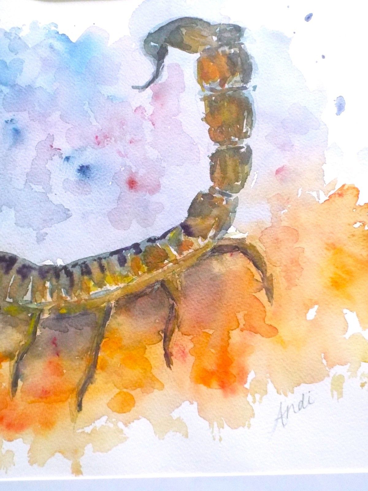Scorpion Original Watercolour  Framed Painting  Scorpio Star Sign Andi  J Lucas photo vinterior