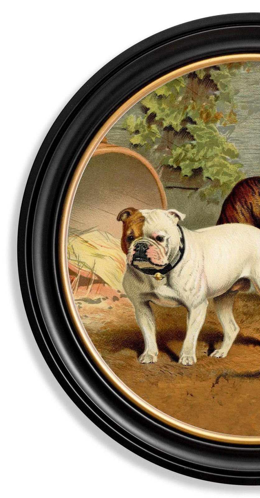 Bulldogs Print In Round Frame From A Victorian Original Circa 1881, New photo vinterior