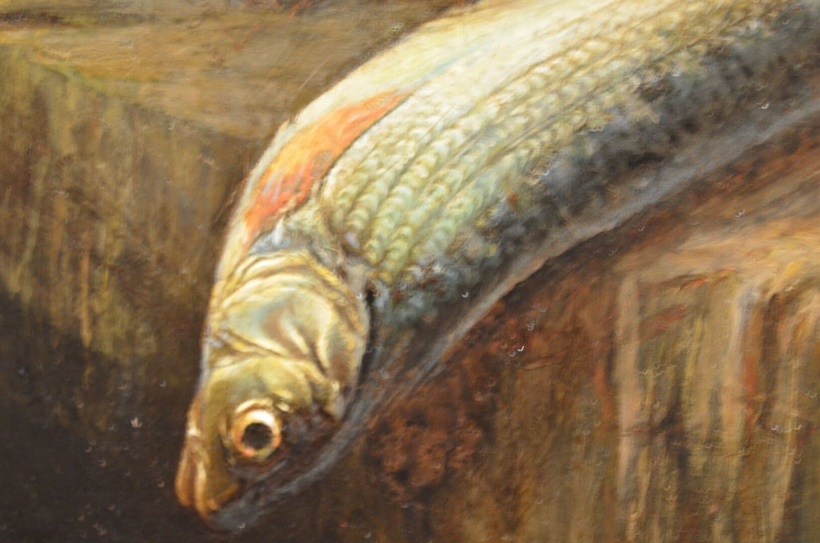 19thc Oil Of Cat And Fish Attributed To Horatio Henry Couldery photo vintage