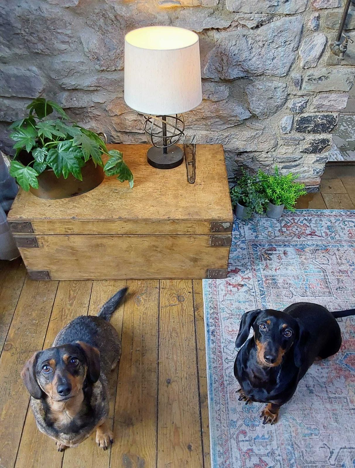 photo vinterior Rustic Wooden Storage Chest