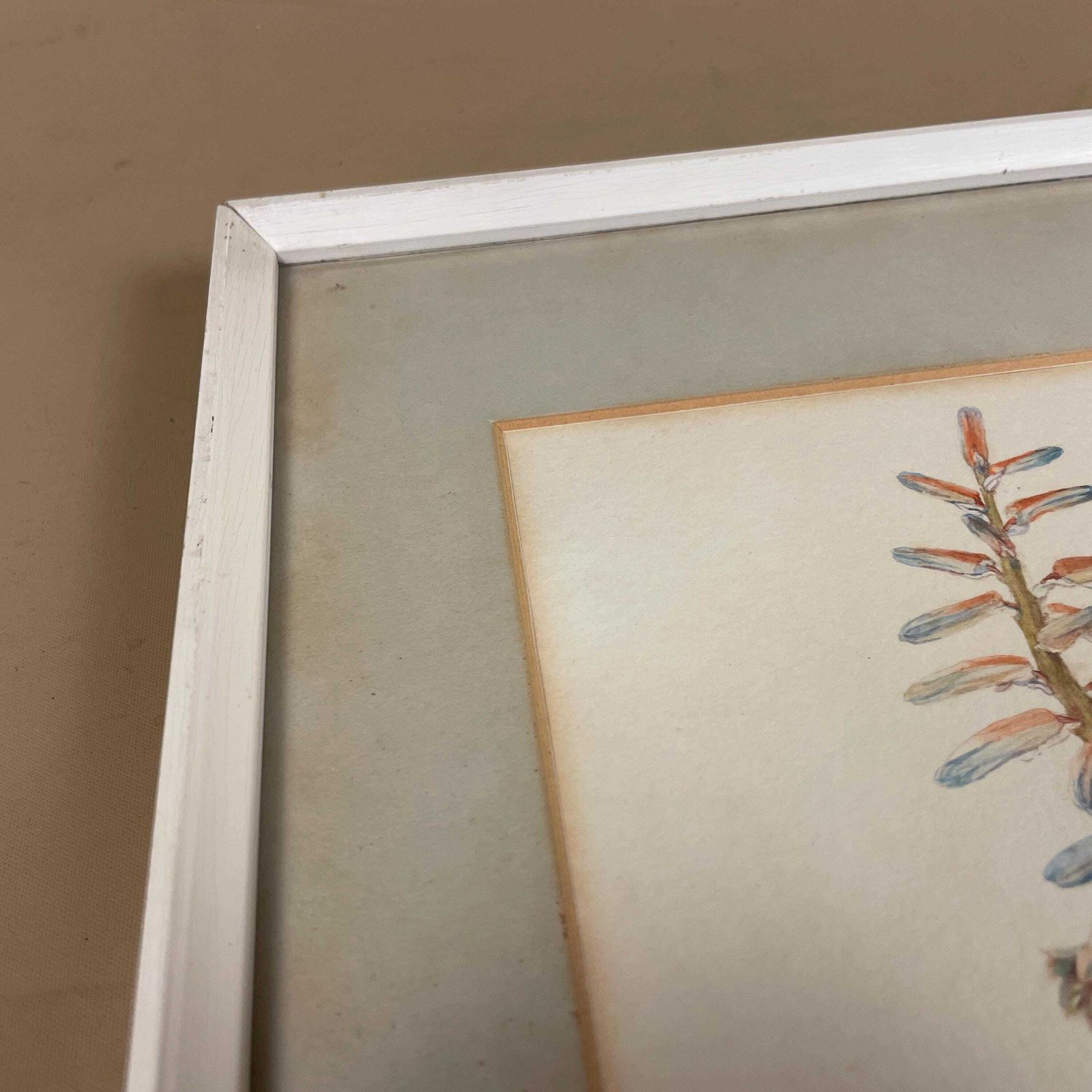 Botanical Aloe Watercolour Painting Vintage Signed J Adams 1974 Framed Wall Art Plant Artwork Nature Illustration Partridge Breasted Aloe photo buy