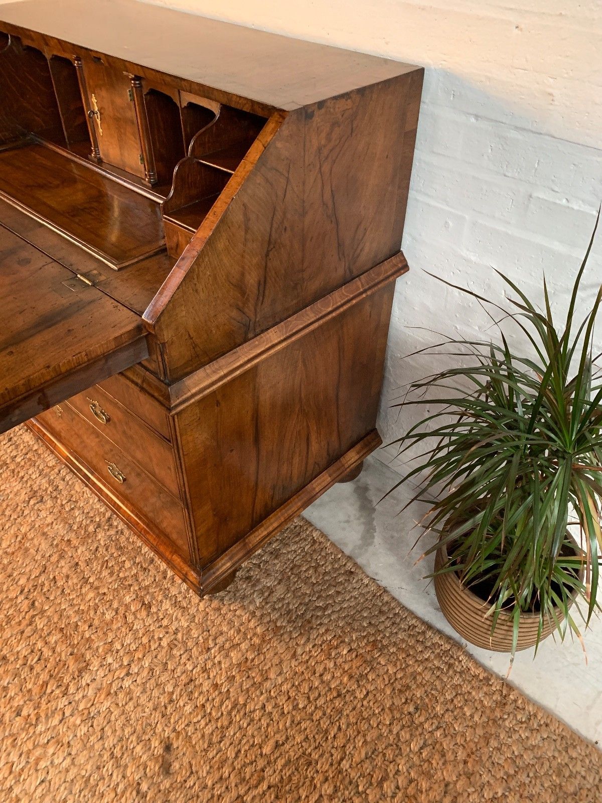 photo for sale Victorian Burr Walnut Bureau – Beautiful Condition | 19th Century