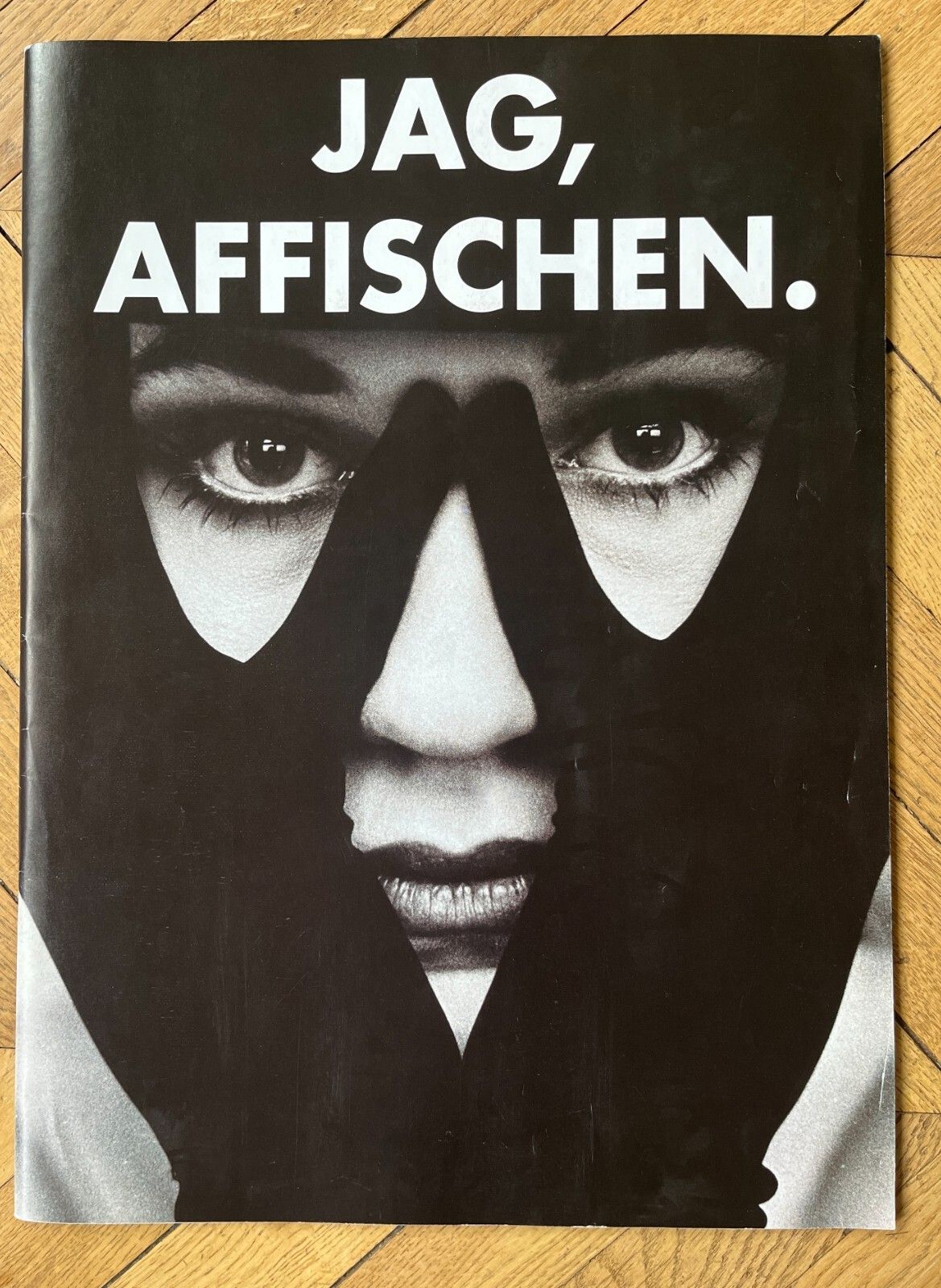 Are Riksaffischering Hunting, Affixing. Poster And Photos Magazine Sweden Stockholm