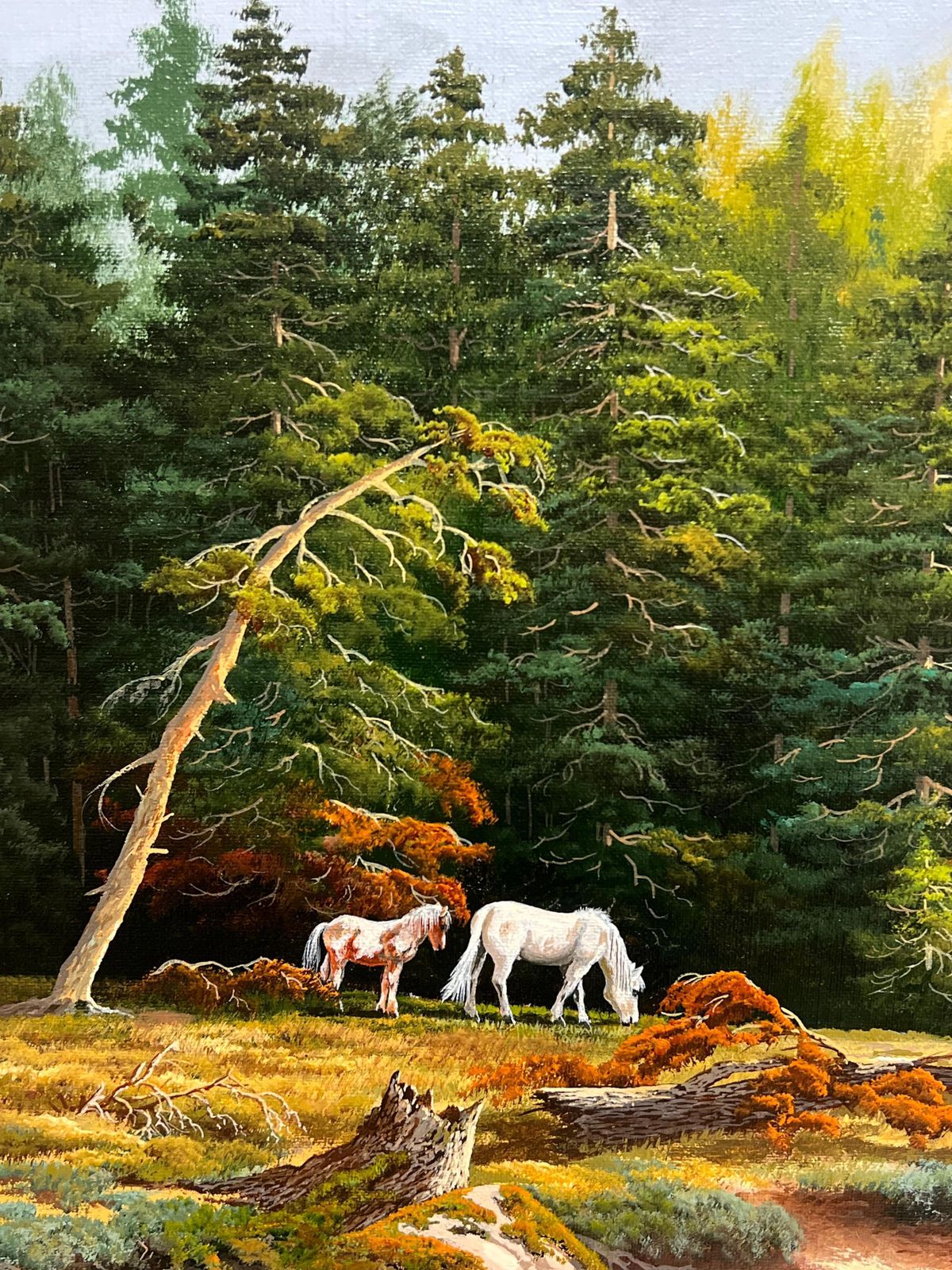 Brian Horswelllarge British Oil Painting Wild Horses In Dartmoor Forest Landscape, Signed1953 photo vinterior