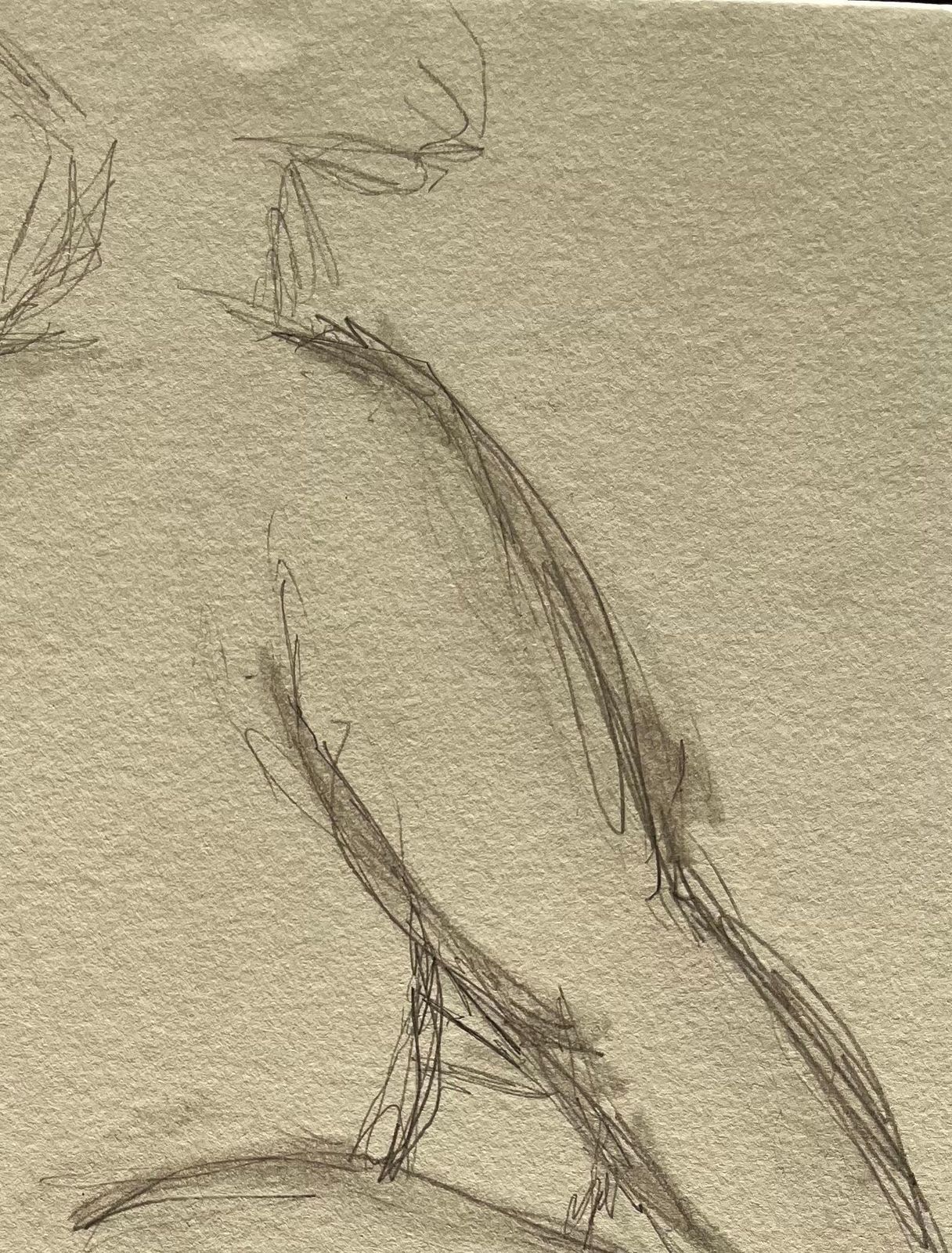Minty Ramseyseated Back View Nude Female Figure Minimalist Pencil Contemporary Life Drawing2025 photo 193.0