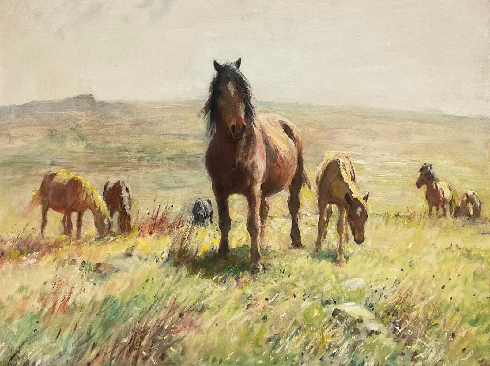 English School Dartmoor Ponies On Moor Landscape Fine English 1950's Impressionist Oil Painting photo furniture
