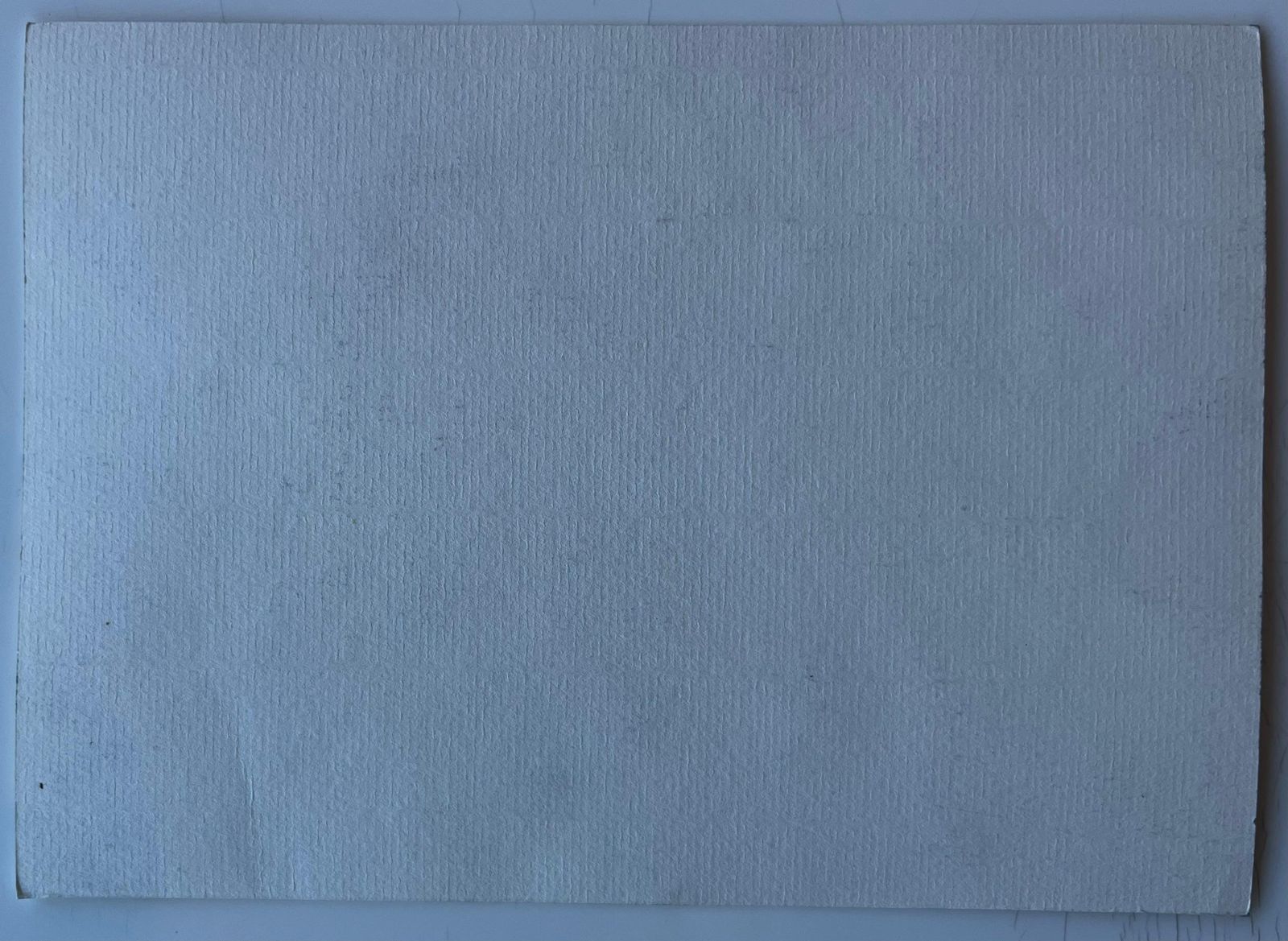 Pierre Neveusunflower And Mimosa Still Life Mid Century Watercolour By Pierre Neveu photo vintage