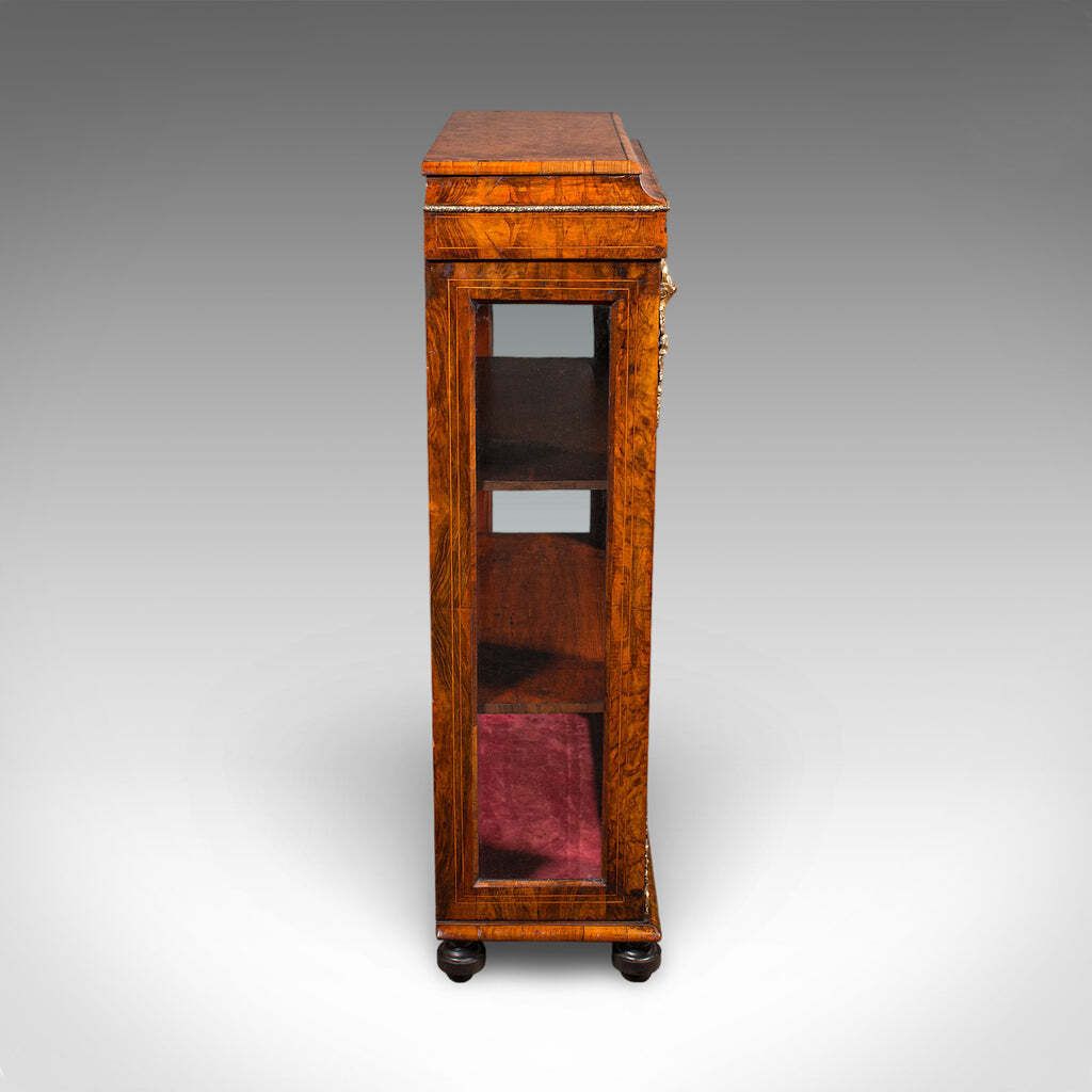 Antique Pier Cabinet English Walnut Glazed Display Bookcase Victorian 1860 photo 10876.0