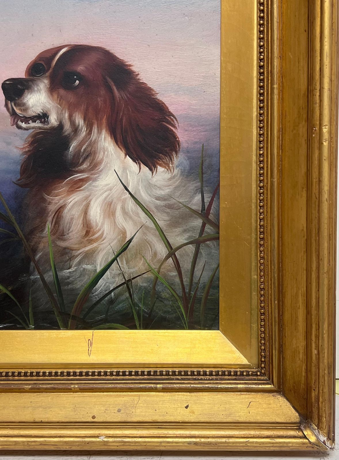 19th Century English Schoolantique English 19th Century Victorian Oil Painting Head Portrait Of Spaniel Dog photo vinterior