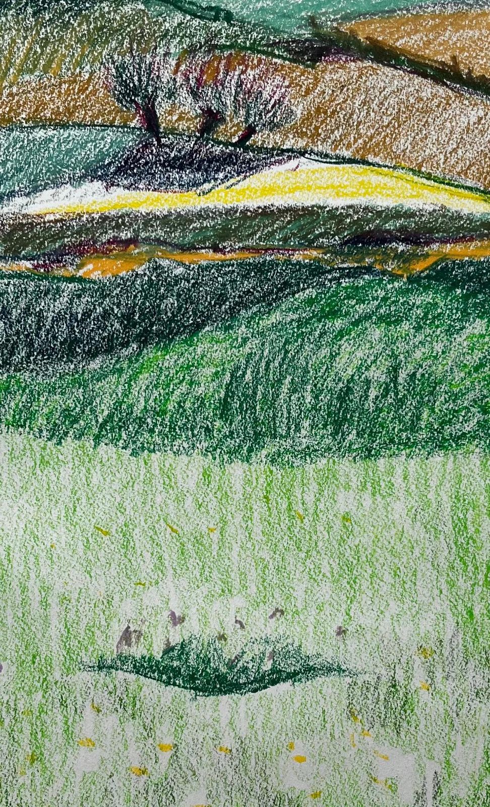 Guy Nicodfrench Rolling Hills With Meadows And Wildflowers Pastel Landscape Drawing photo buy