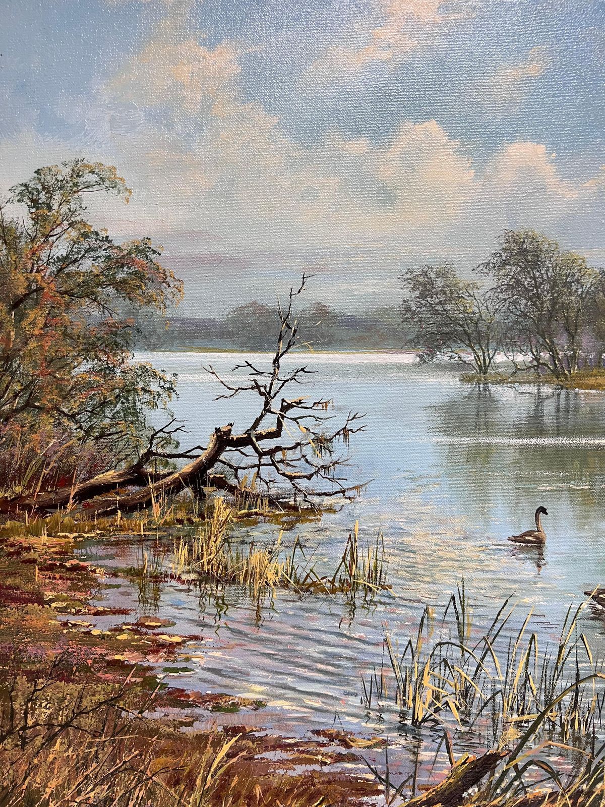 1522.0 Don Vaughanlarge Traditional English Summer River Landscape Oil Painting Swans Cygnets photo
