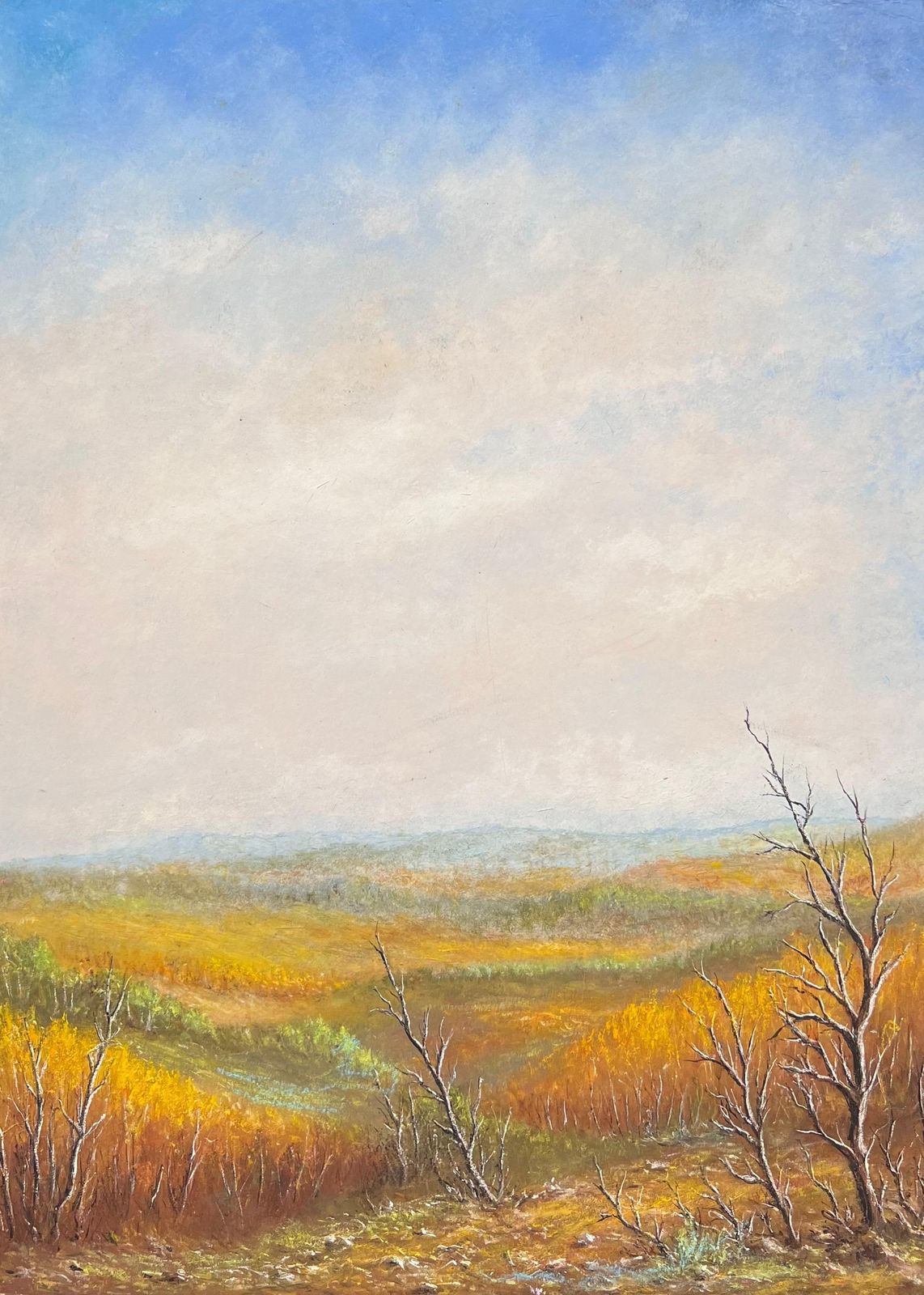 Jean Fourieorange Hill Valleys Under Blue Cloudy Skies Oil Landscape Painting