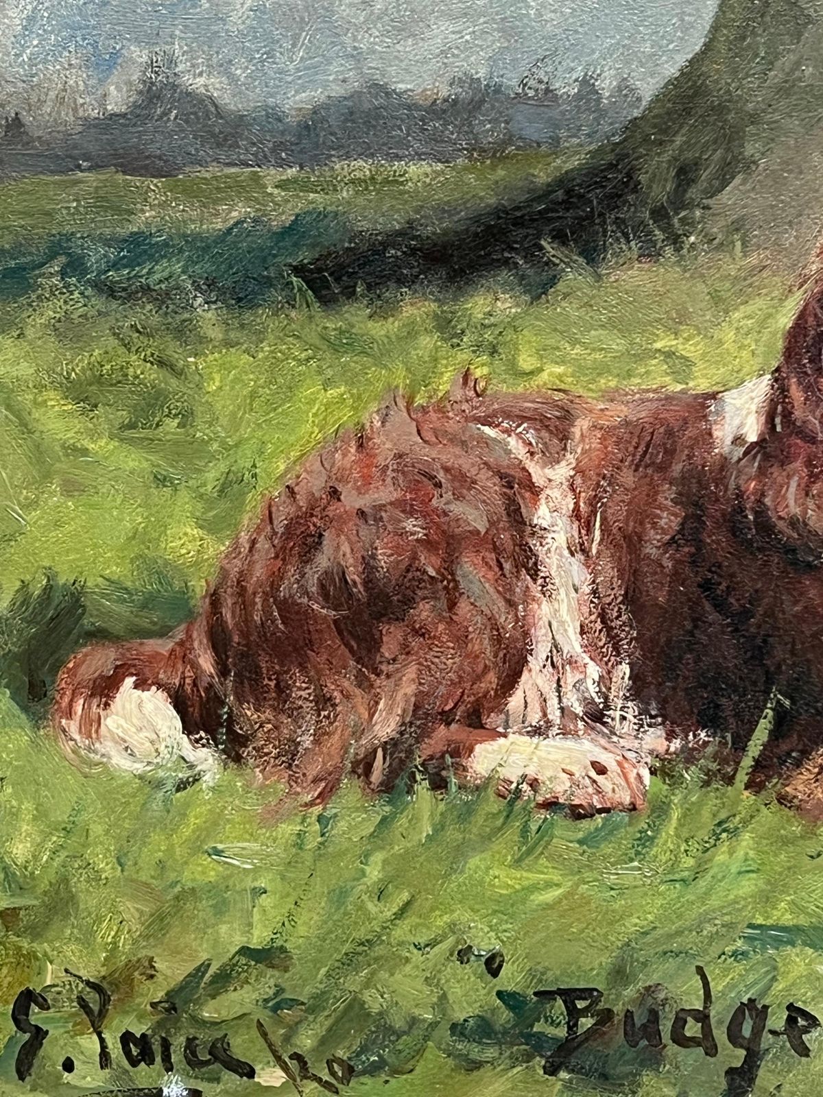 Art George Paiceantique English Dog Oil Painting Portrait Of Springer Spaniel Titled  Dated 19201920 photo
