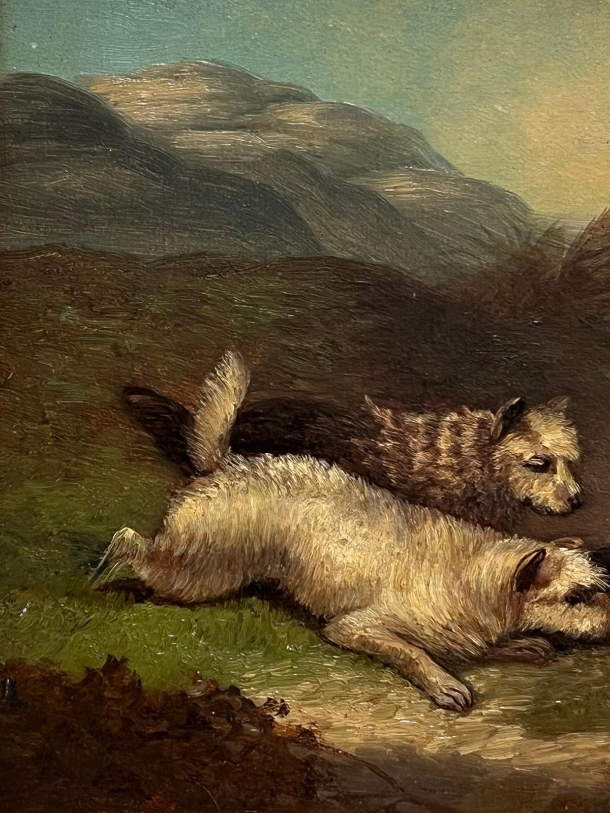 Fine Victorian English Oil Painting Three Terrier Dogs Highland Rabbit Hole photo for sale