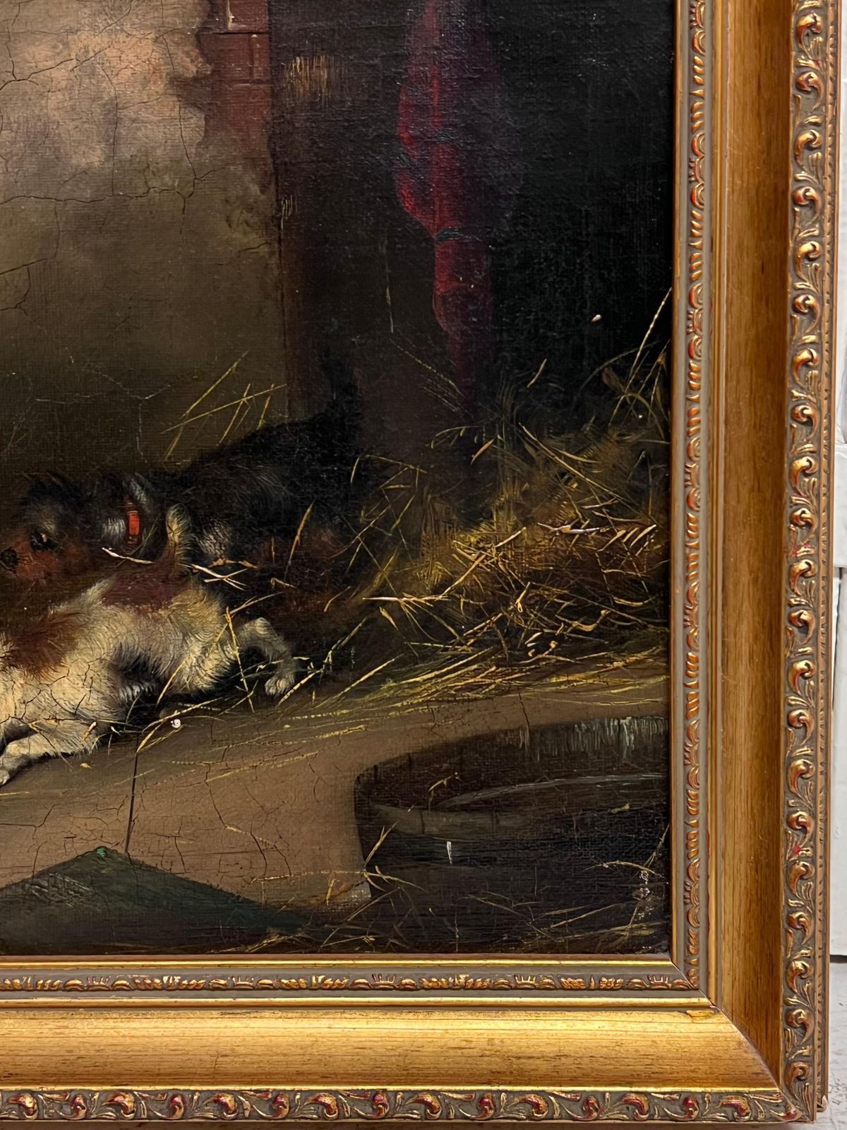 Frank Cassellantique English Sporting Art Oil Painting Terrier Dogs Ratting In Barn Stable1889 photo for sale