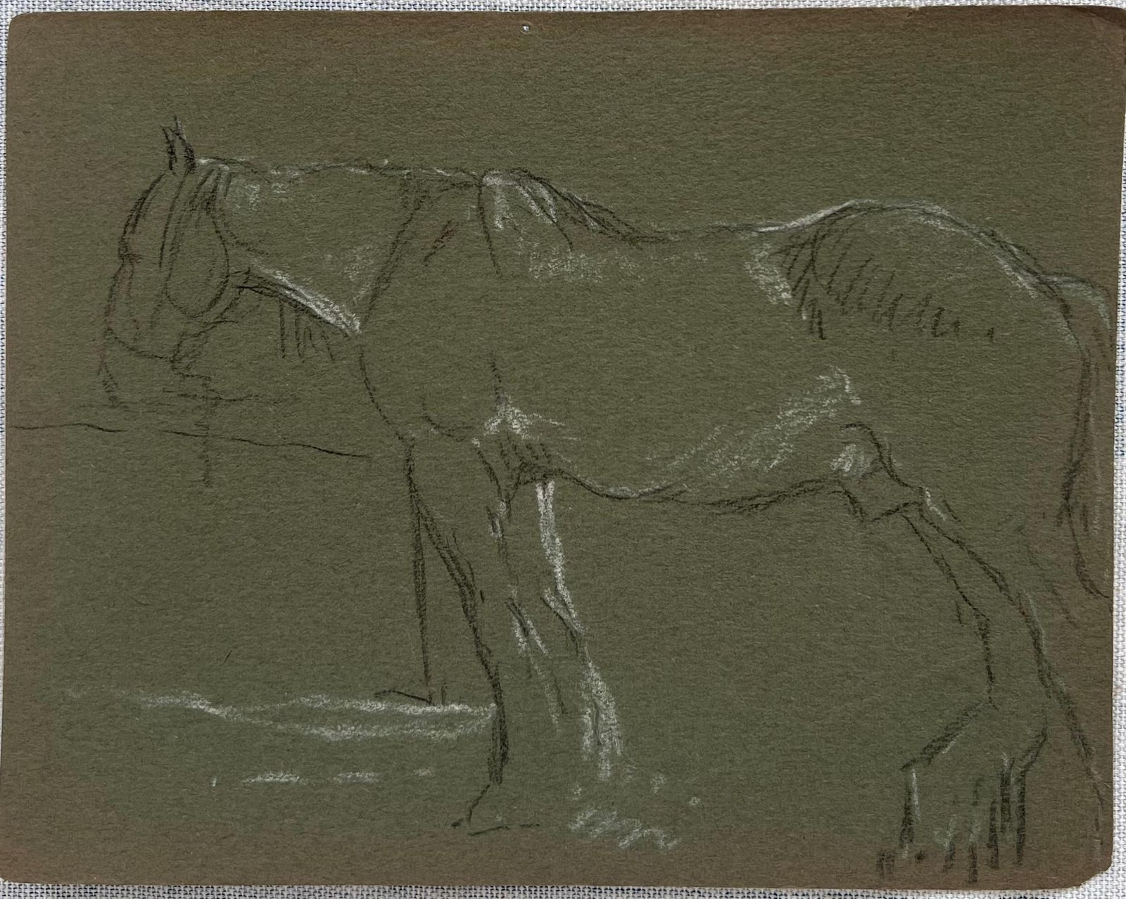 John Rabone Harveybritish Chalk Pencil Sketch Of A Horse With White Features Waiting At The Fence1966 photo furniture