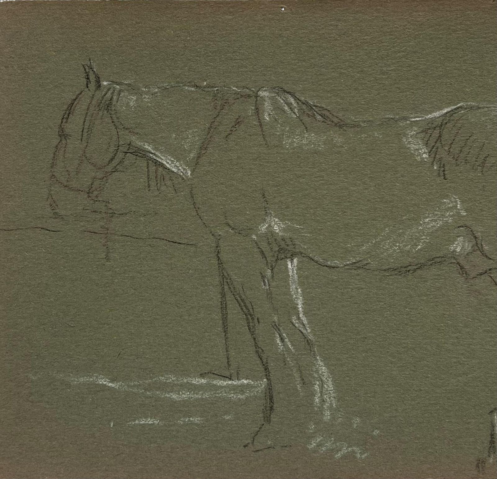 John Rabone Harveybritish Chalk Pencil Sketch Of A Horse With White Features Waiting At The Fence1966 photo for sale