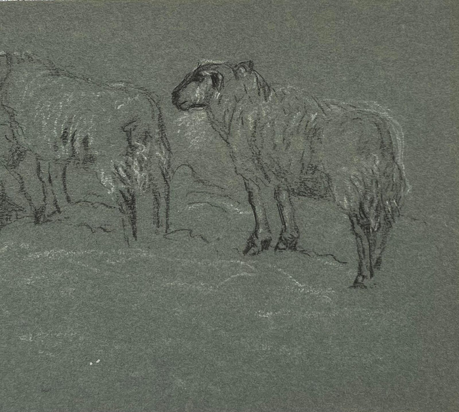 John Rabone Harveybritish Chalk Pencil Sketch Sheep Roaming In And Munching In The Field1966 photo for sale