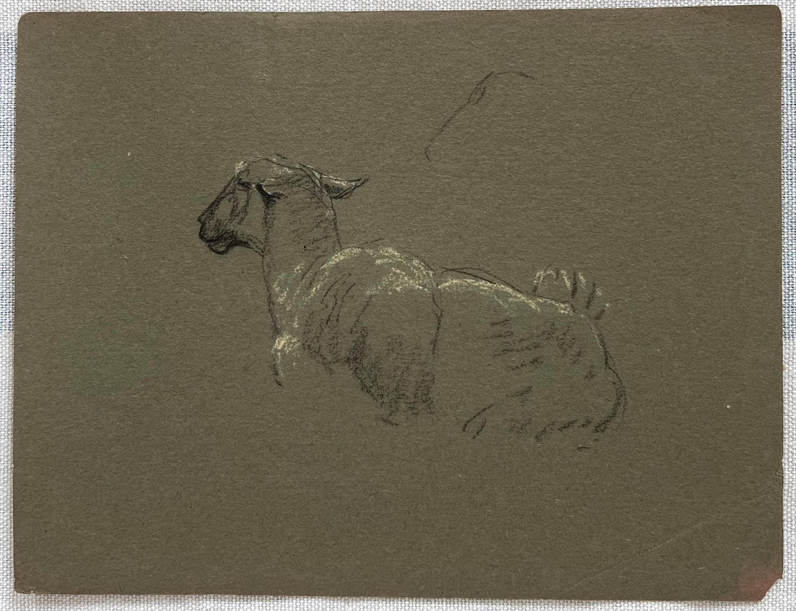 John Rabone Harveybritish Chalk Pencil Sketch Of Sheep Lying Down With Pricked Ears1966 photo furniture