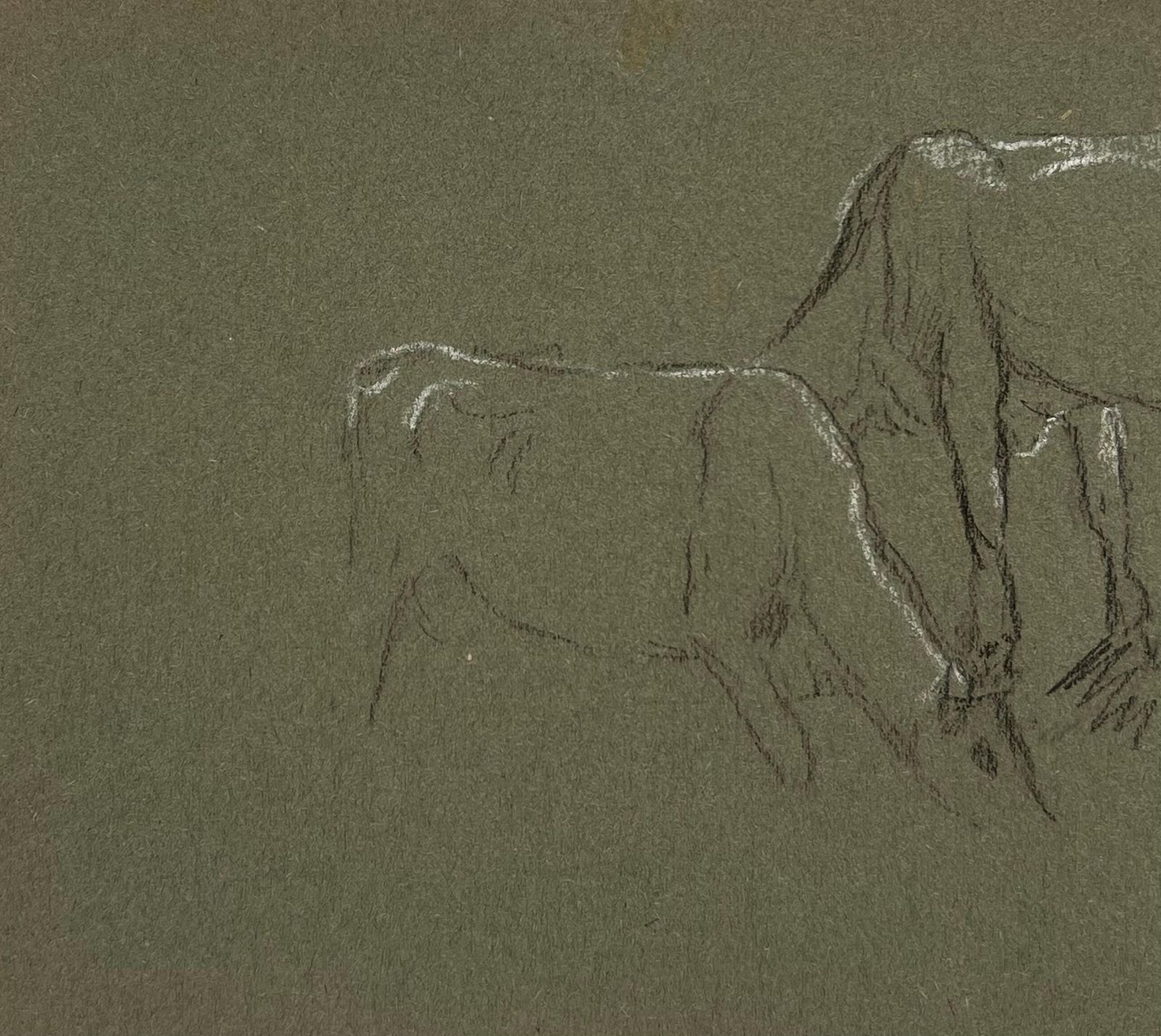 John Rabone Harveybritish Chalk Pencil Sketch Of A Cow And Their Calf Munching On Grass1966 photo for sale