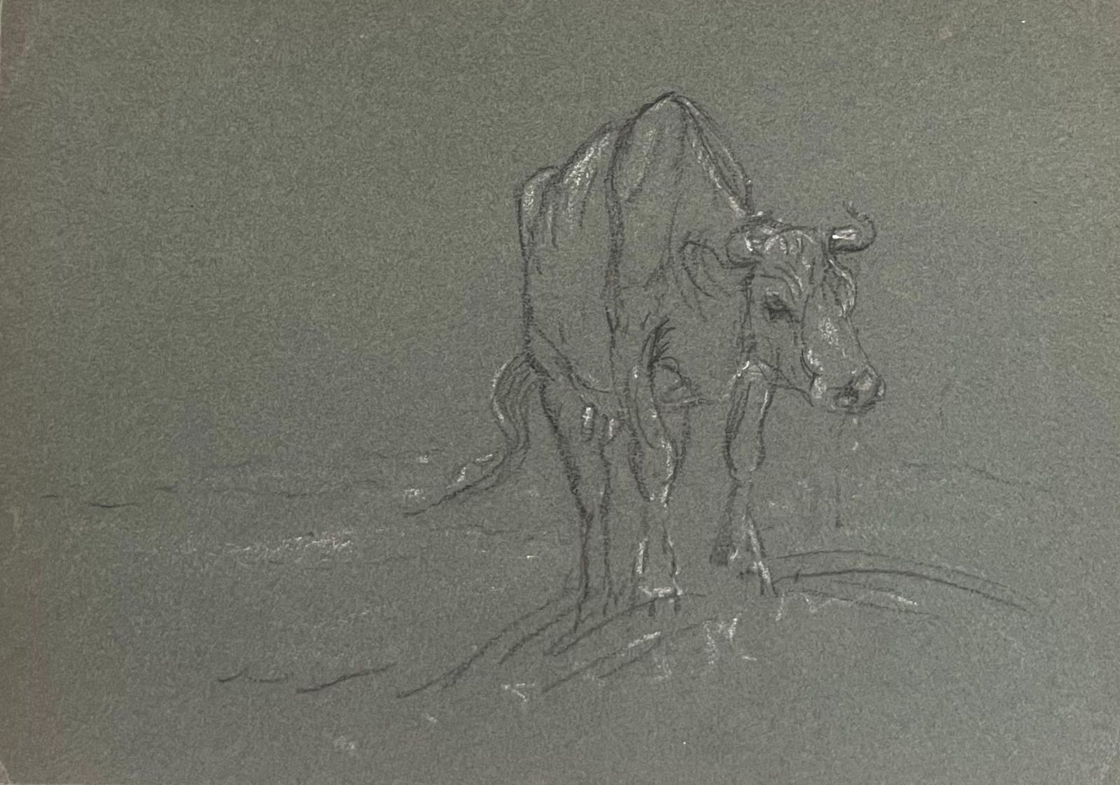 John Rabone Harveybritish Chalk Pencil Sketch Of A Cow Climbing The Hill To Water1966 photo for sale