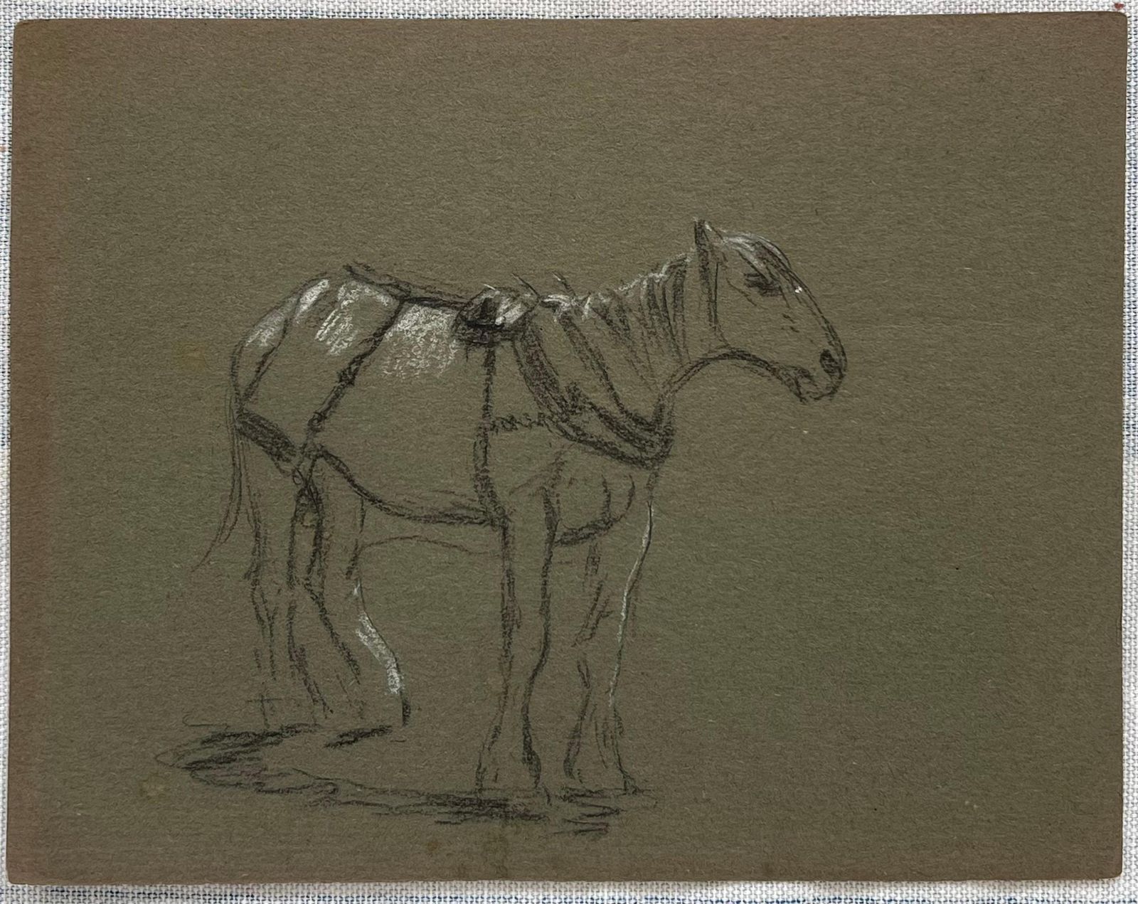 John Rabone Harveybritish Chalk Pencil Sketch Of A Ready Horse Tacked Ready To Mount1966 photo furniture