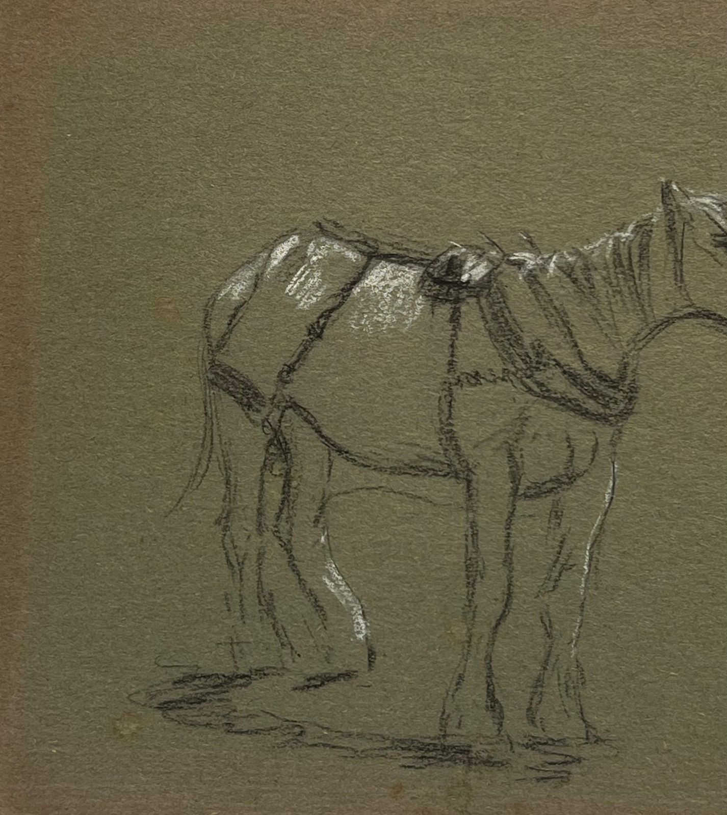 John Rabone Harveybritish Chalk Pencil Sketch Of A Ready Horse Tacked Ready To Mount1966 photo Art