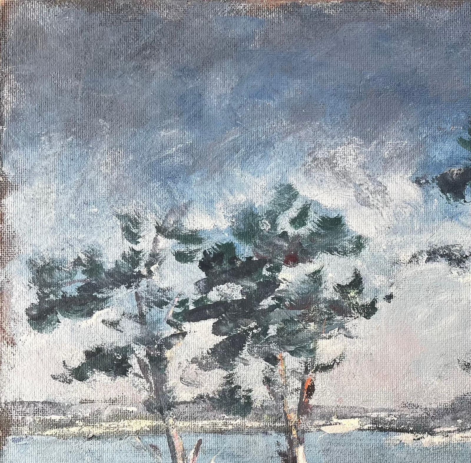 Fanch Lelfrench Coastal Landscape With Windswept Trees At Golfe Du Morbihan Brittany photo vinterior