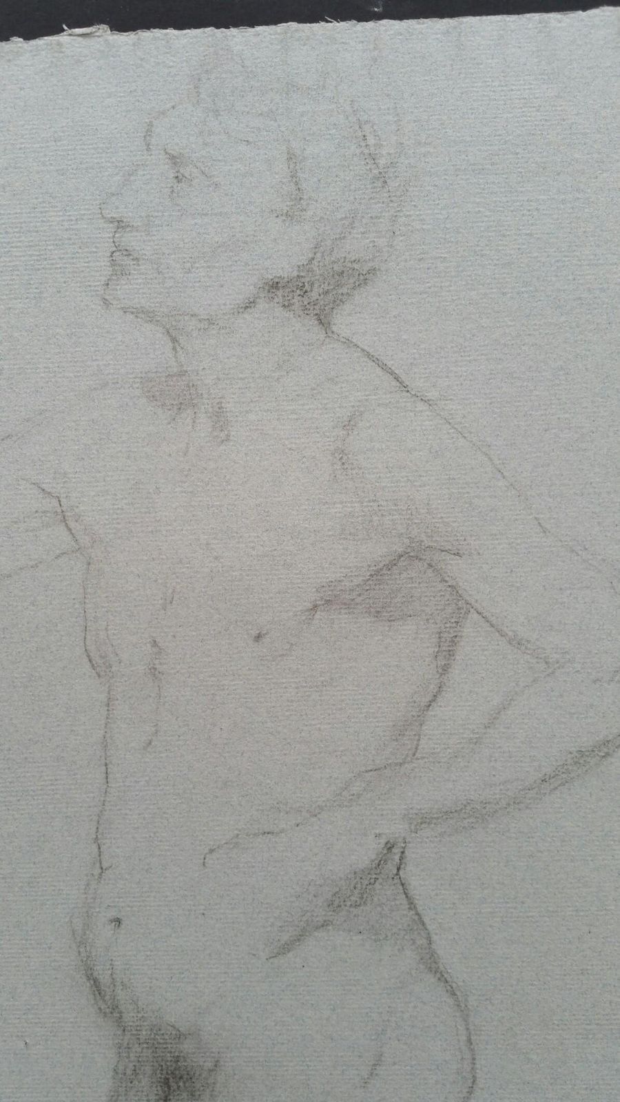Unknownenglish Graphite Portrait Sketch Of Male Nude, In Profilecirca 1880 1905 photo for sale