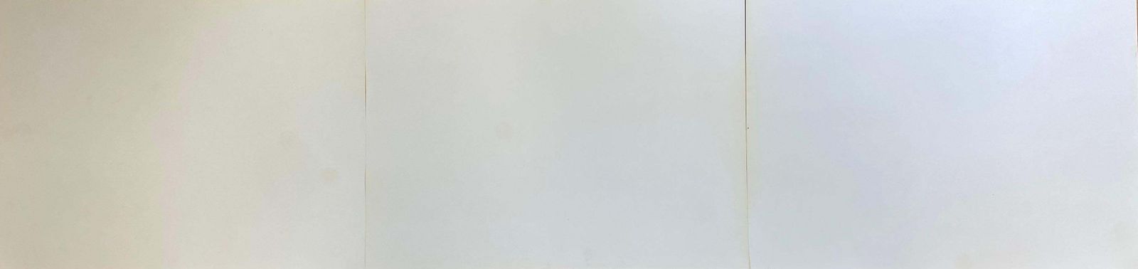 Unknownclassic Bird Color Prints X 3, Beautiful Set Of 3 Classical Birds20th Century photo 173.0