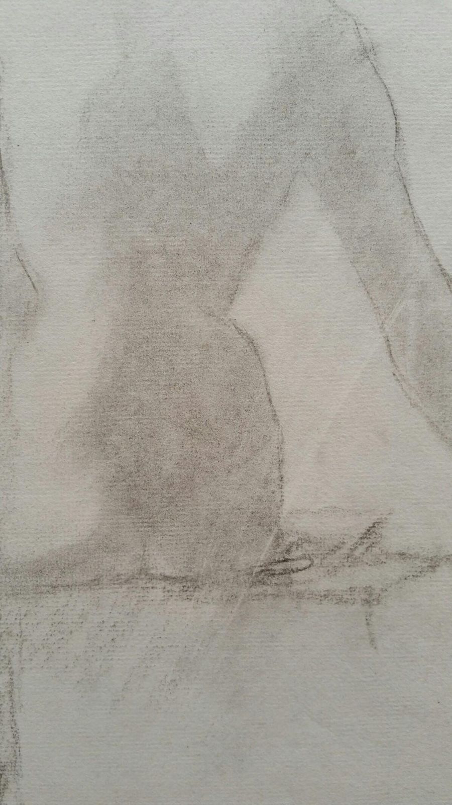 Unknownenglish Graphite Portrait Sketch Of Female Nude Rear View Seatedcirca 1880 1905 photo 240.0