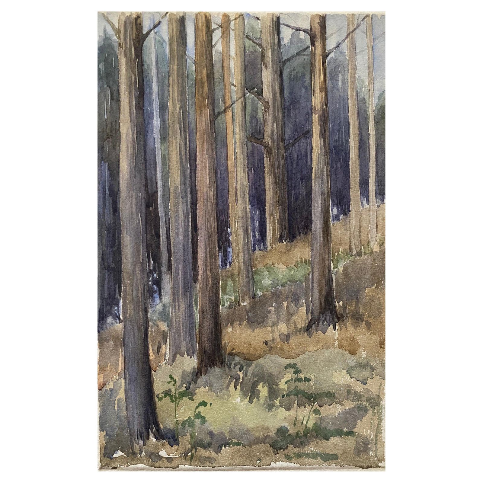 Unknown1900's English Impressionist Watercolor Painting Captivating Midnight Forestcirca 1900s