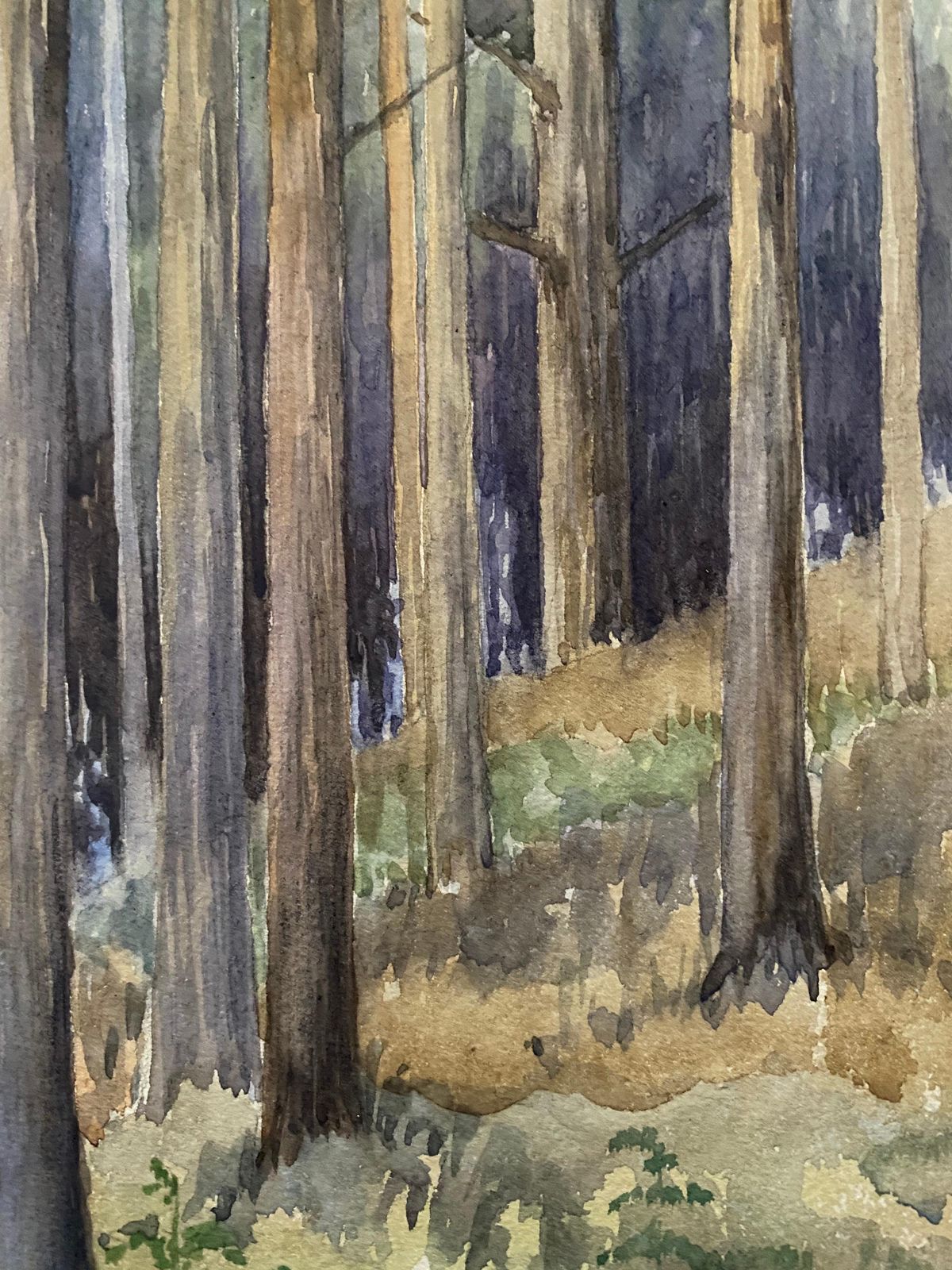 Unknown1900's English Impressionist Watercolor Painting Captivating Midnight Forestcirca 1900s photo for sale