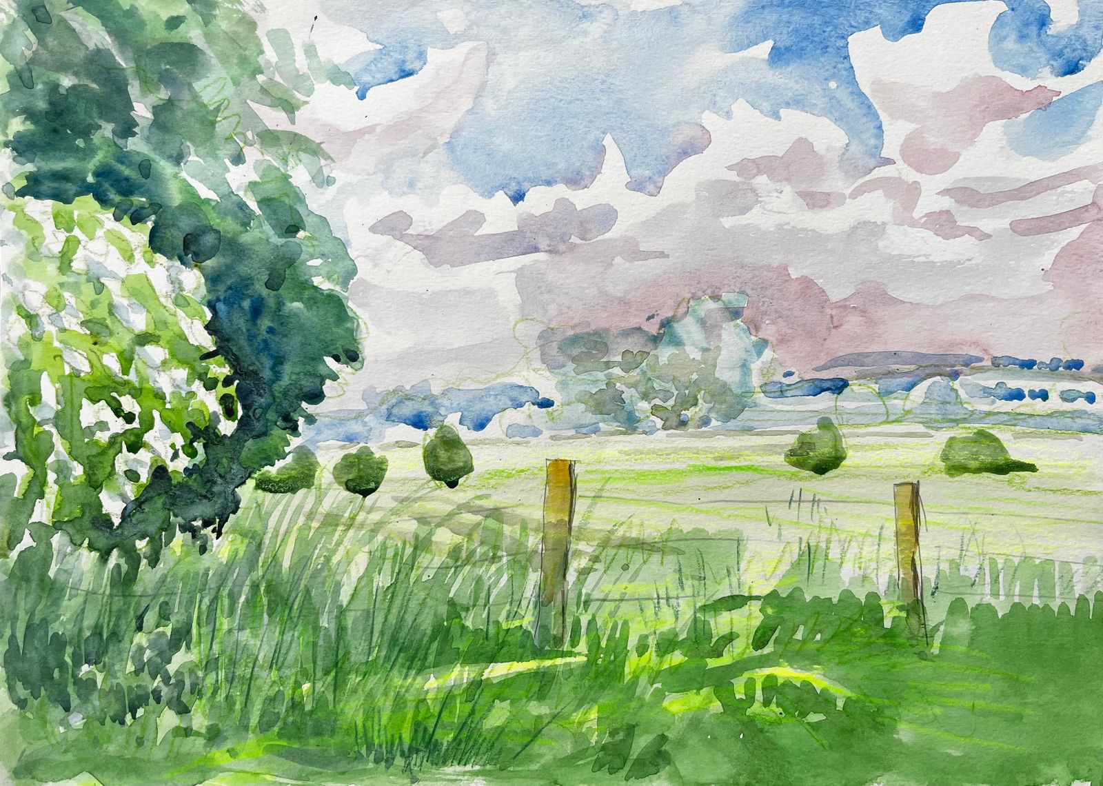 John Steane (B.1931)cuttleslowe Oxford Landscape With Trees Meadow And Summer Sky