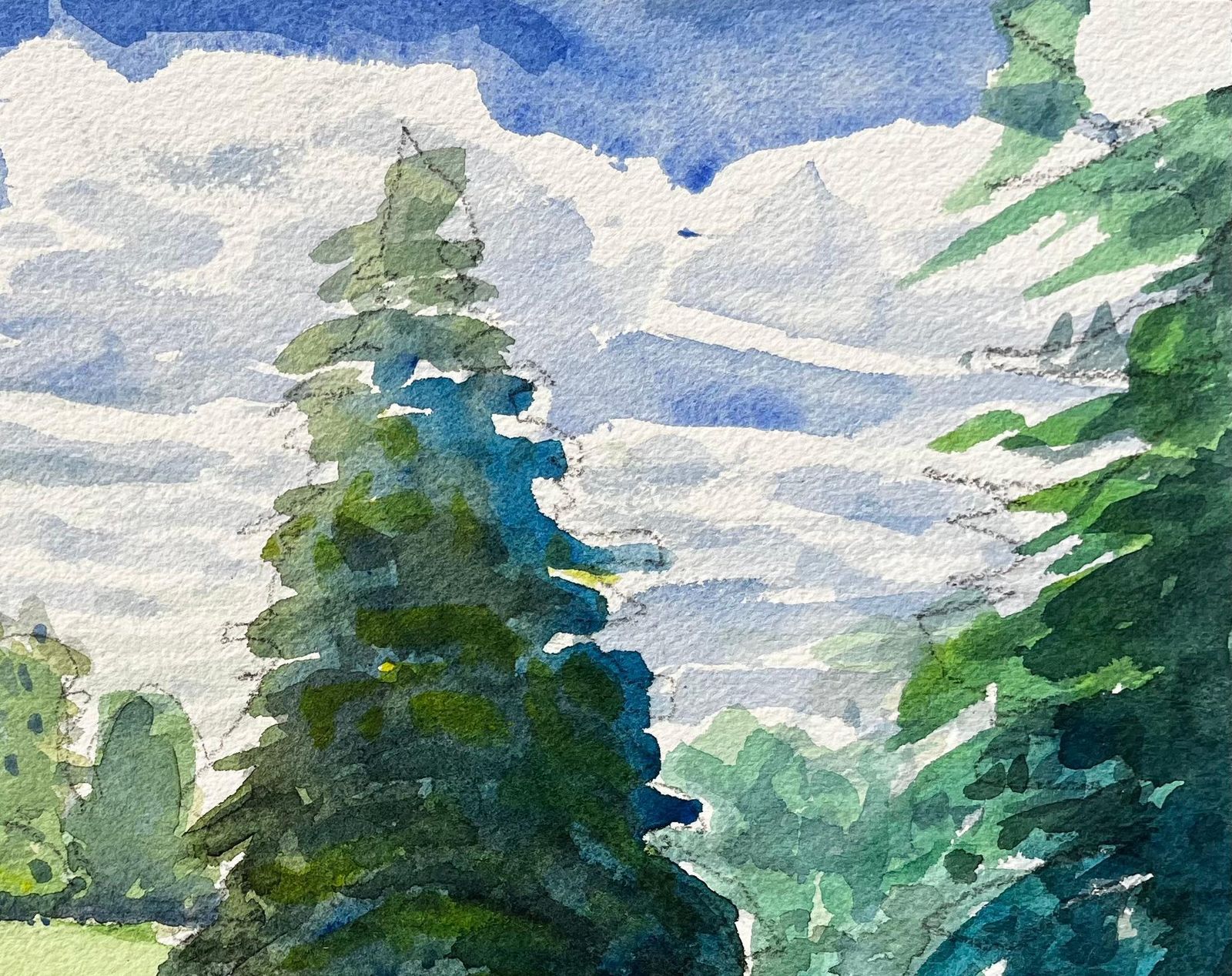 John Steane (B.1931)university Parks Oxford Landscape With Pine Tree And Summer Shadows photo Art