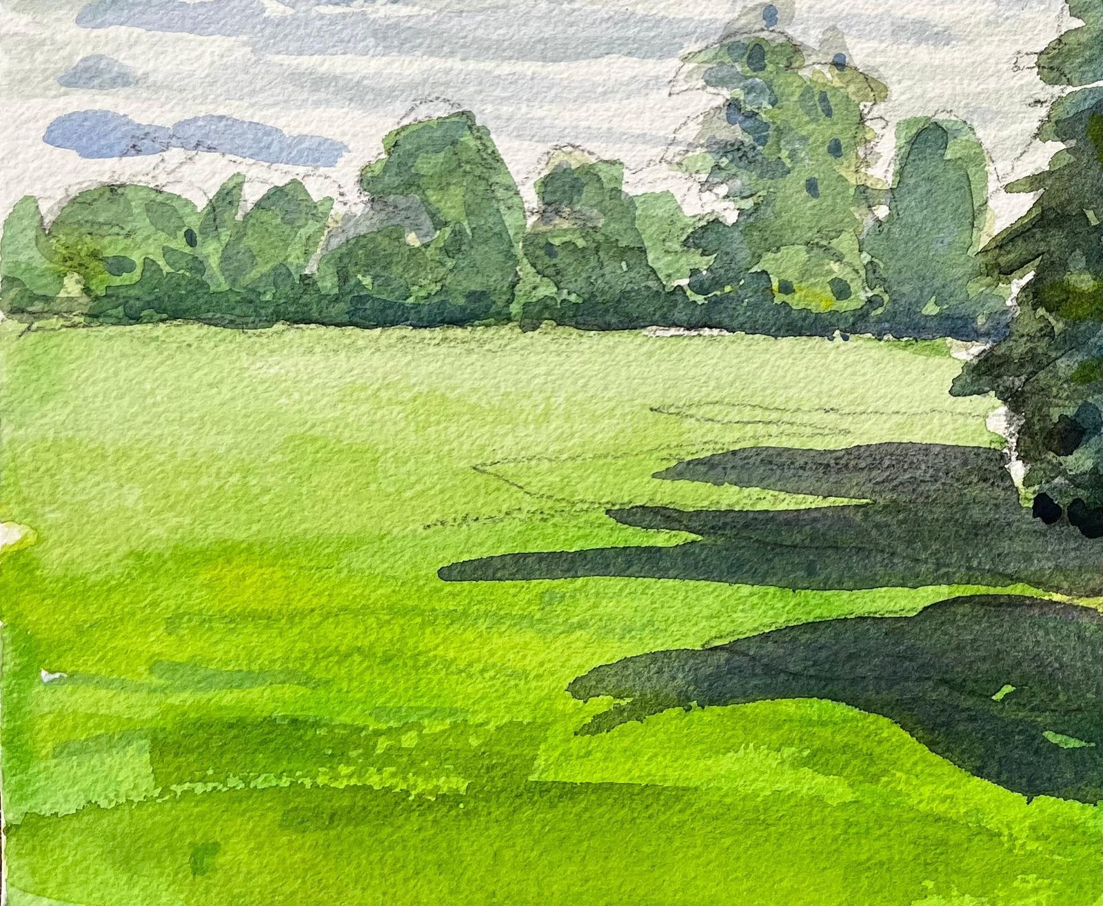 John Steane (B.1931)university Parks Oxford Landscape With Pine Tree And Summer Shadows photo 366.0