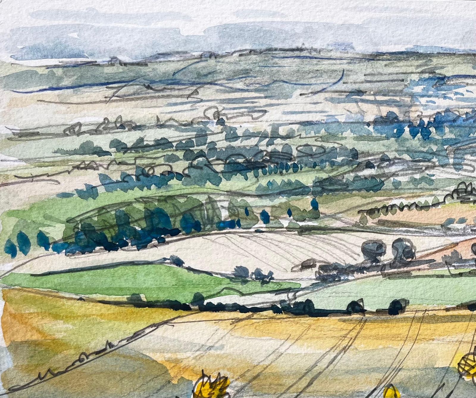 John Steane (B.1931)great Givendale Yorkshire Landscape View With Wildflowers British Watercolor1993 photo Art