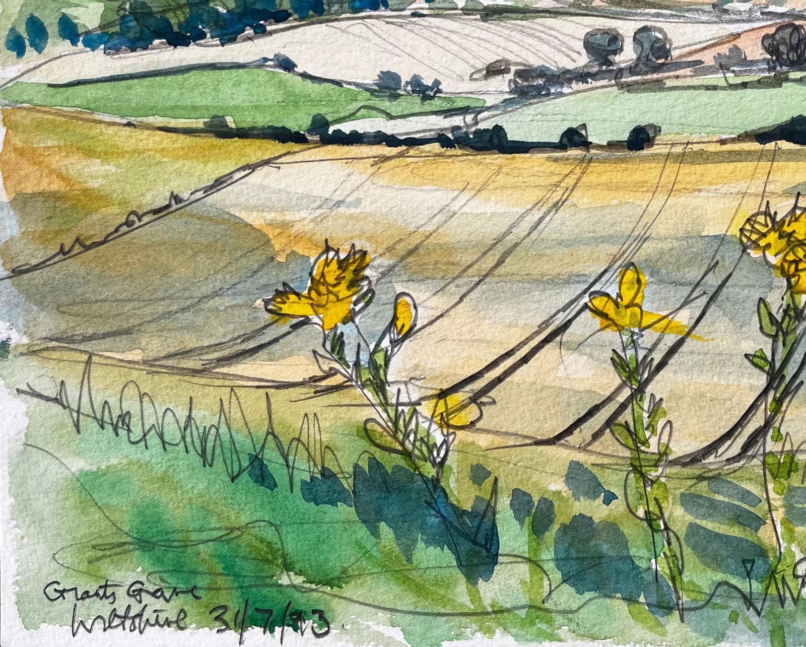 John Steane (B.1931)great Givendale Yorkshire Landscape View With Wildflowers British Watercolor1993 photo 345.0